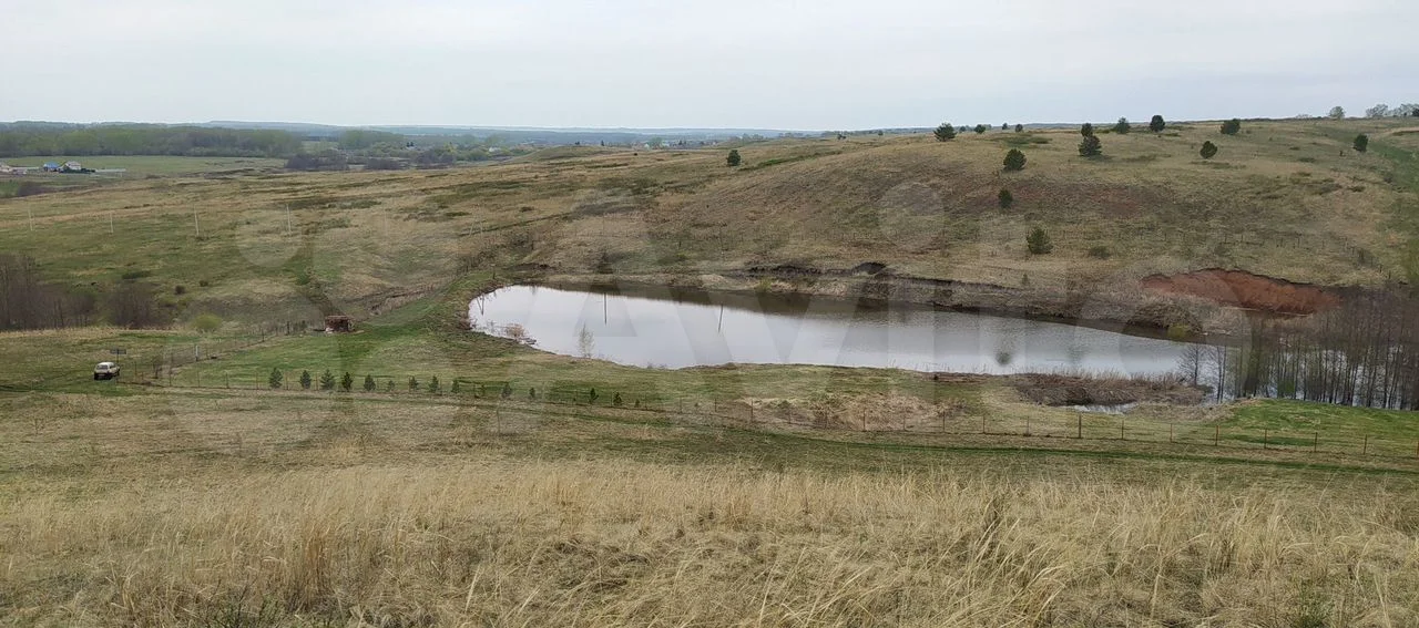 Земля с прудом в с. Еремеево, 2 Га в собственности - миниатюра 6