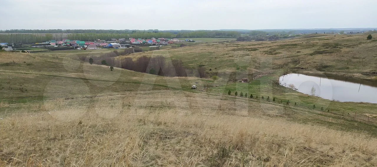 Земля с прудом в с. Еремеево, 2 Га в собственности - миниатюра 7