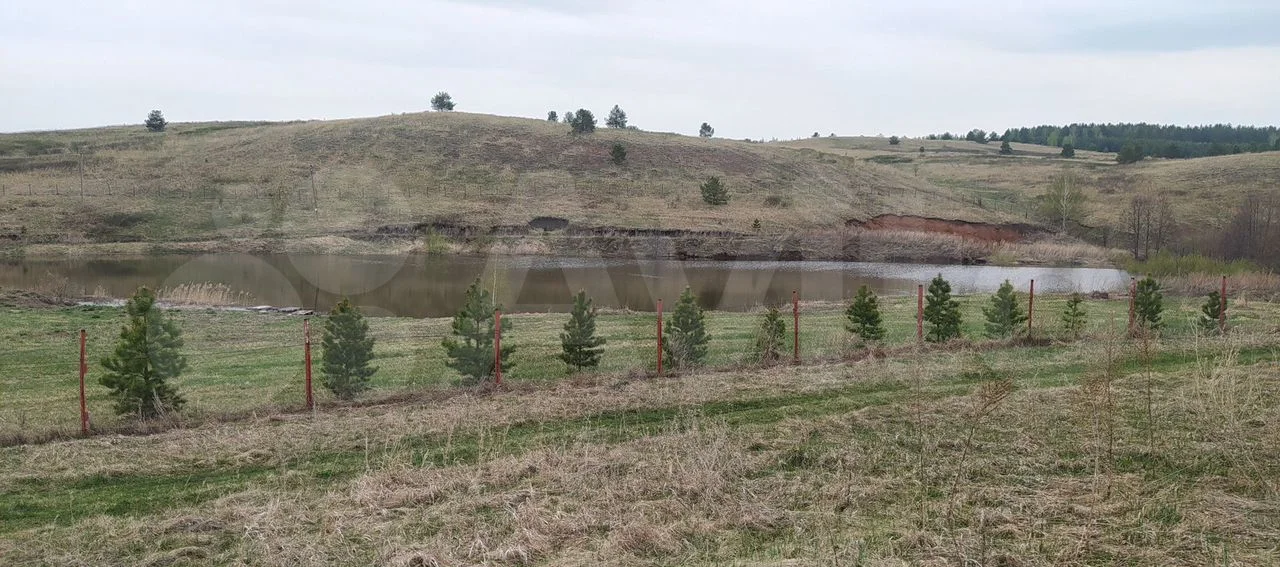 Земля с прудом в с. Еремеево, 2 Га в собственности - миниатюра 8