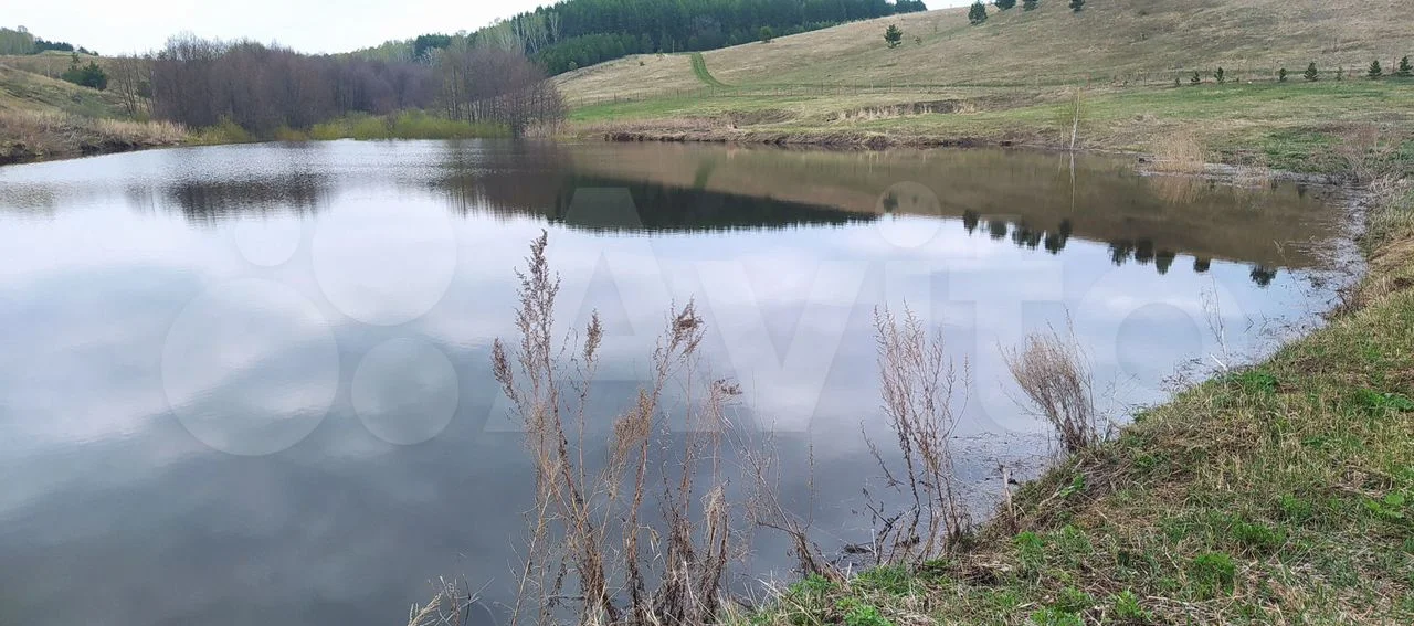 Земля с прудом в с. Еремеево, 2 Га в собственности - миниатюра 9