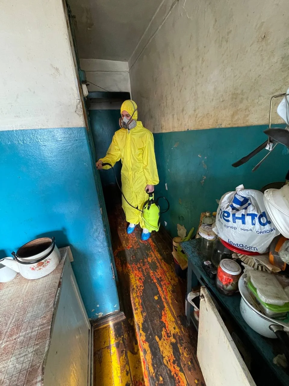Дезинсекция - миниатюра 9