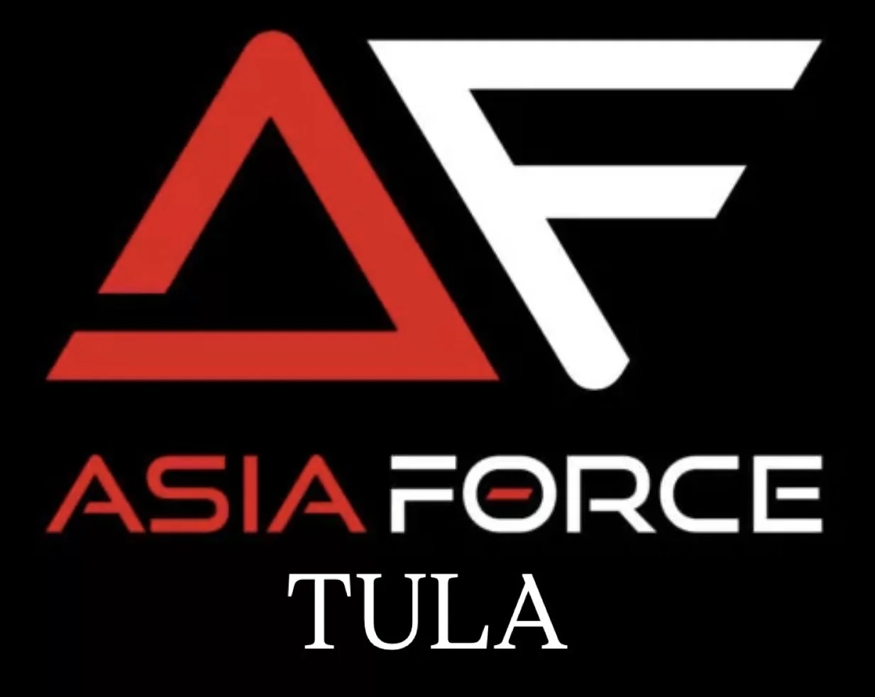 AsiaForce Чип-тюнинг Китайского авто - изображение 1