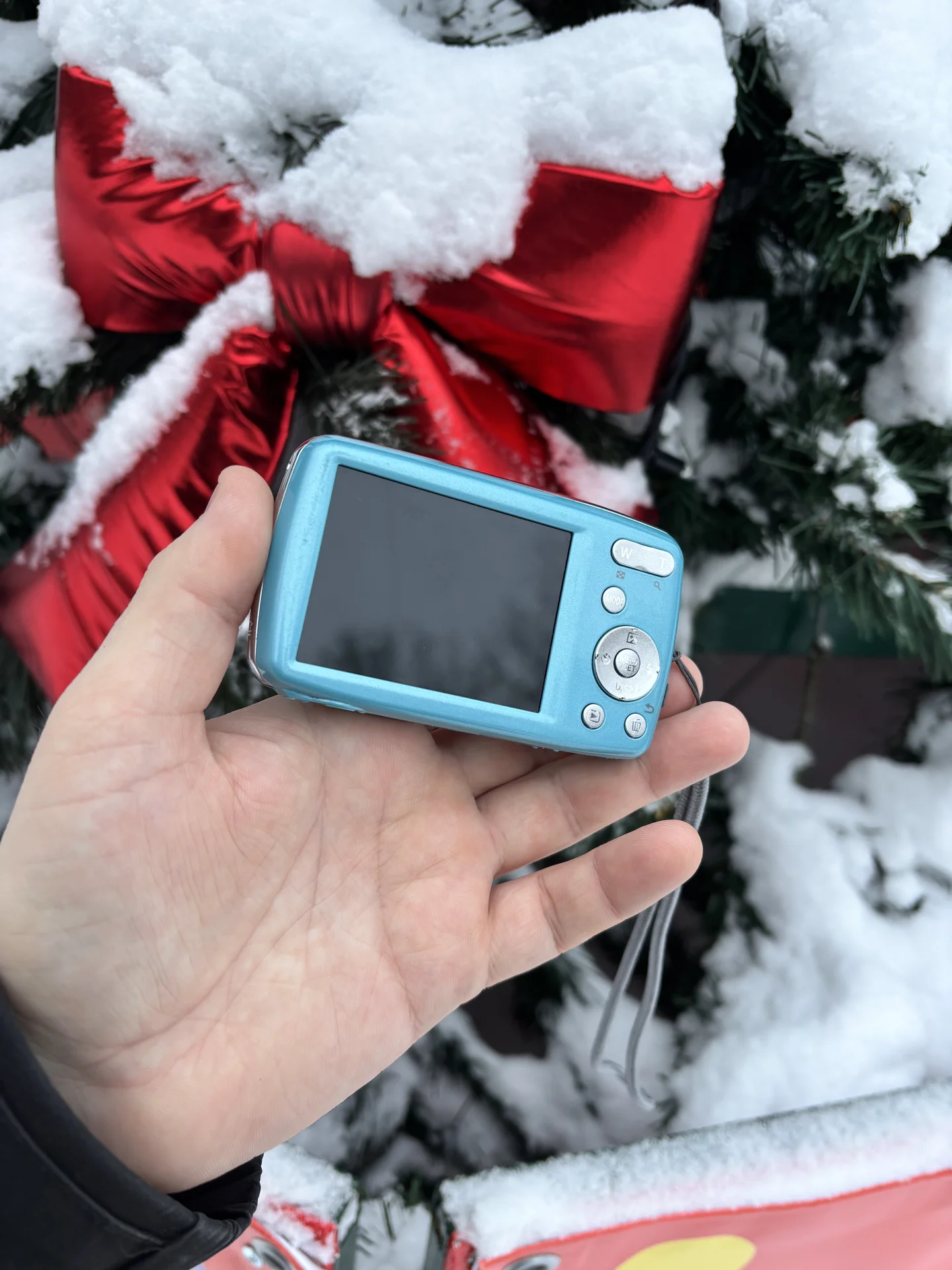 Фотоаппарат Panasonic Lumix S1 Y2K Digicam - миниатюра 3