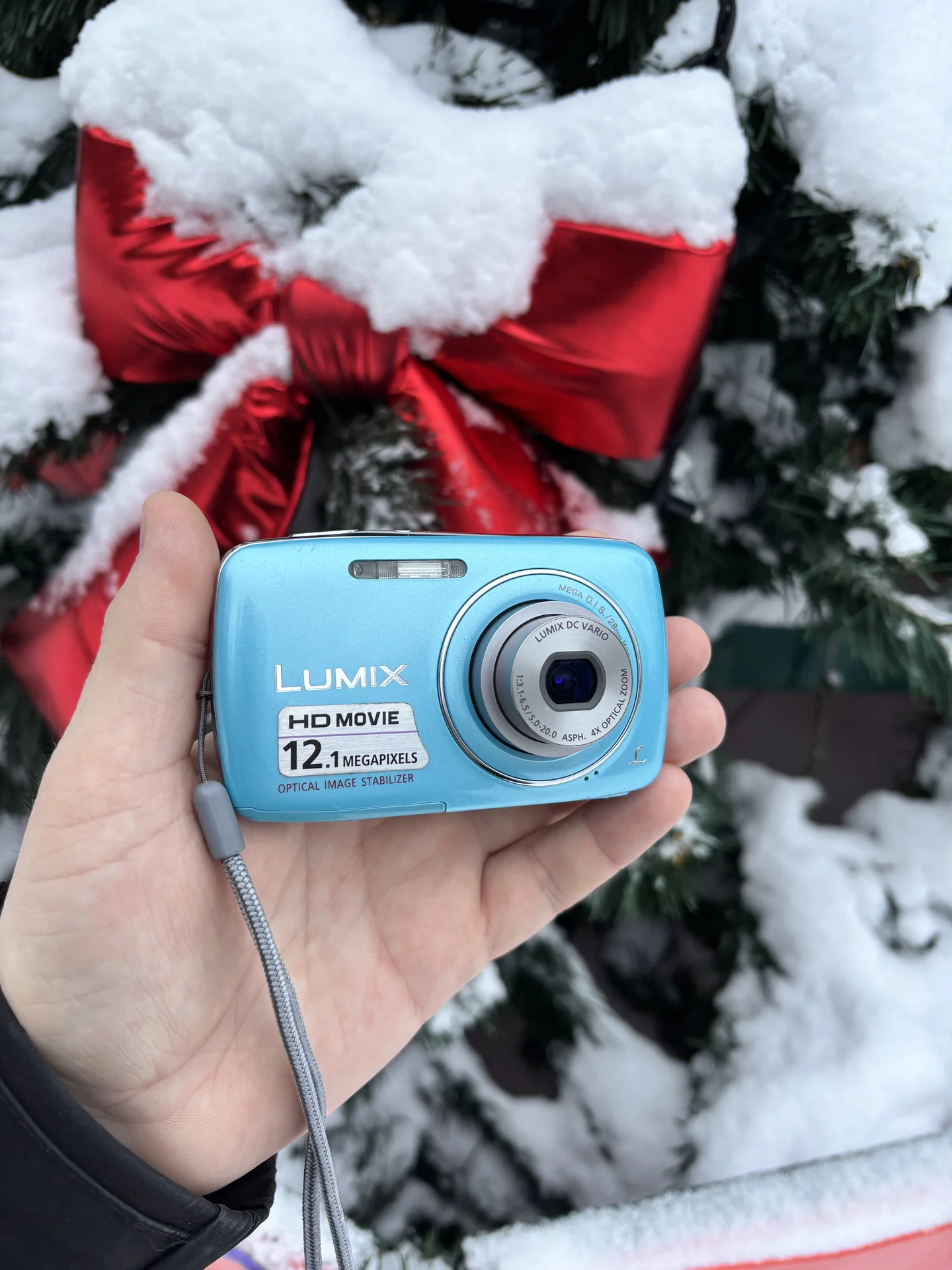 Фотоаппарат Panasonic Lumix S1 Y2K Digicam - миниатюра 5