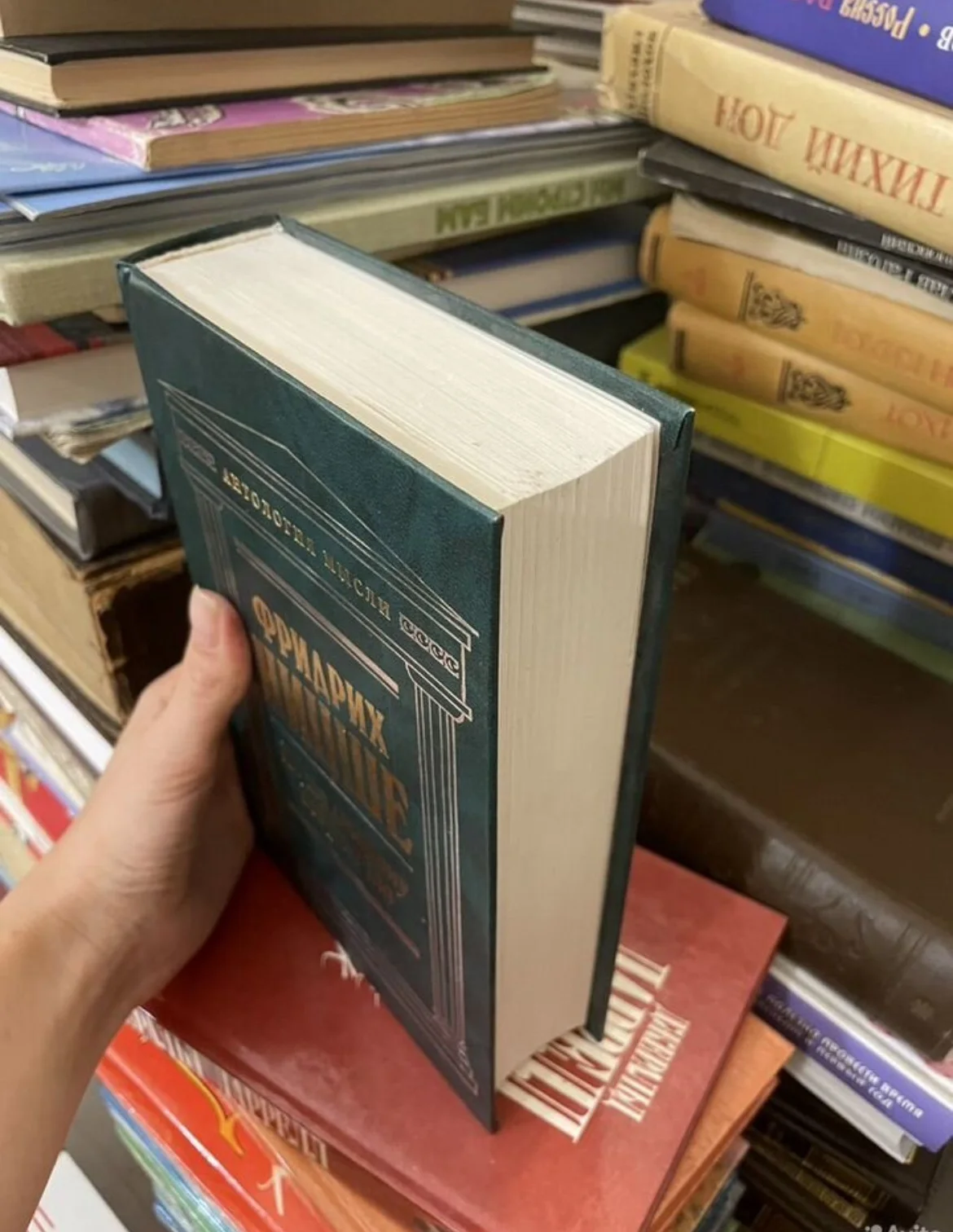 Фридрих ницше. По ту сторону добра и зла - миниатюра 2