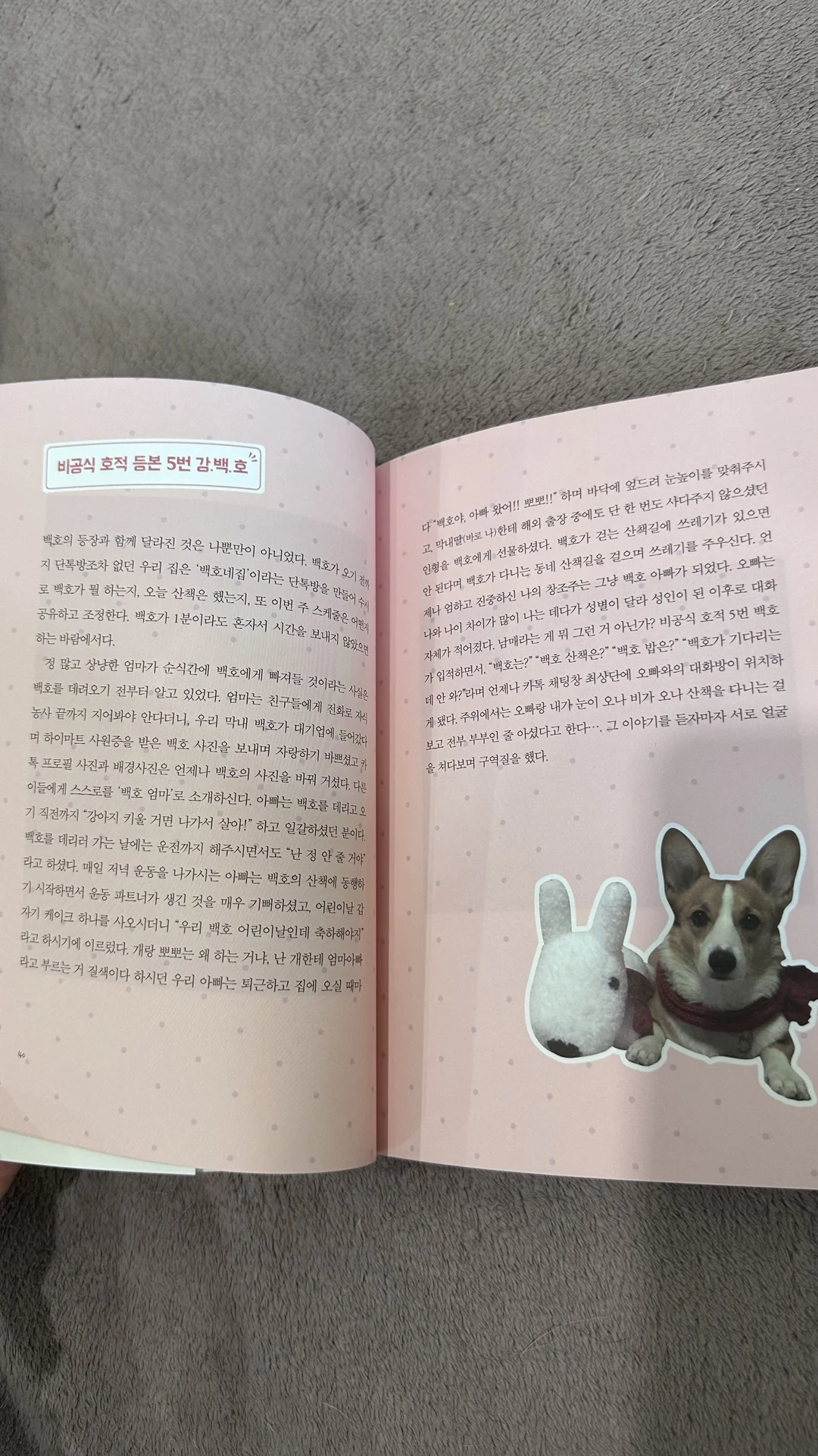 Книга Сосед Бэкхо - миниатюра 5