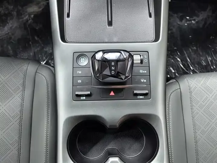 Qin PLUS EV - миниатюра 7