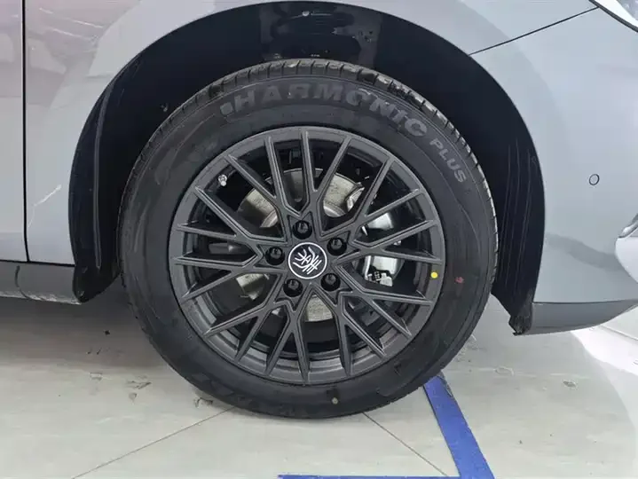 Qin PLUS EV - миниатюра 11