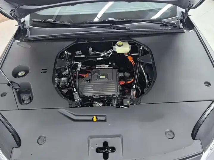 Qin PLUS EV - миниатюра 12