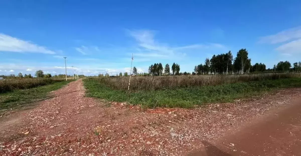 Участок в Снт - миниатюра 4