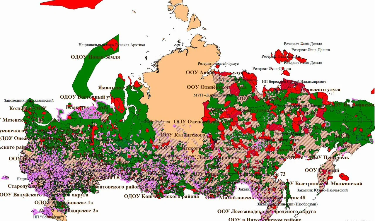 Карты для охоты грибов ореха кедра - изображение 1