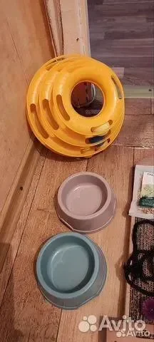Набор начинающего котовода :) - миниатюра 2