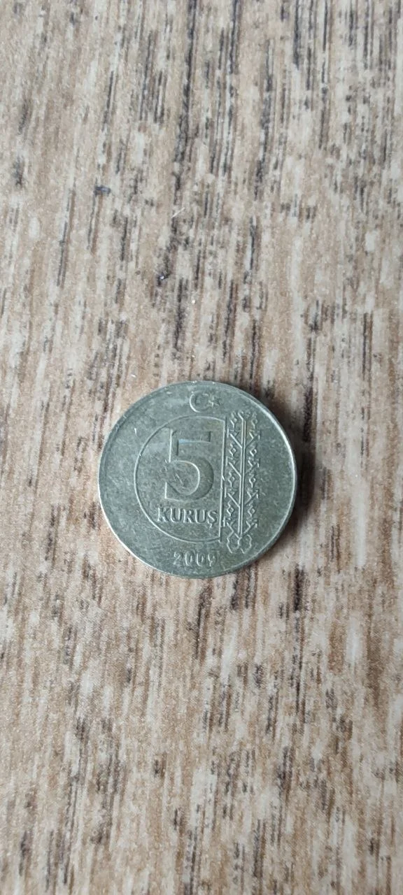 Монета - изображение 1