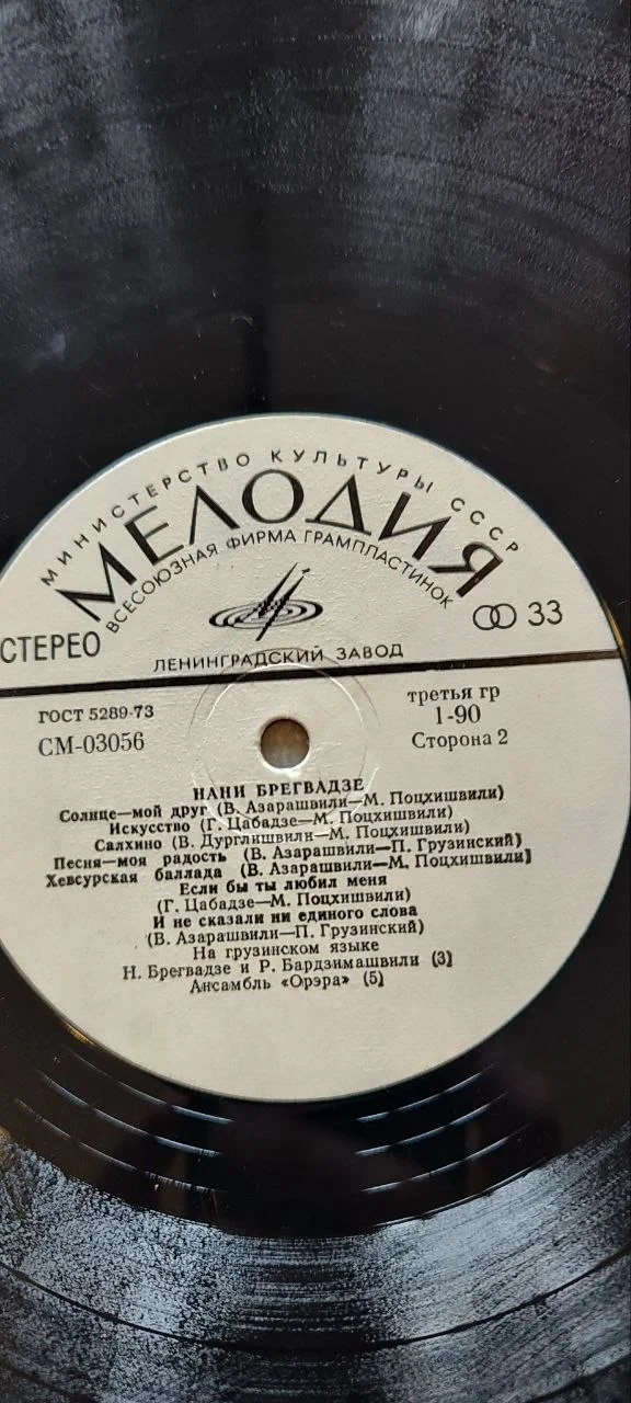 Нани Брегвадзе - миниатюра 4