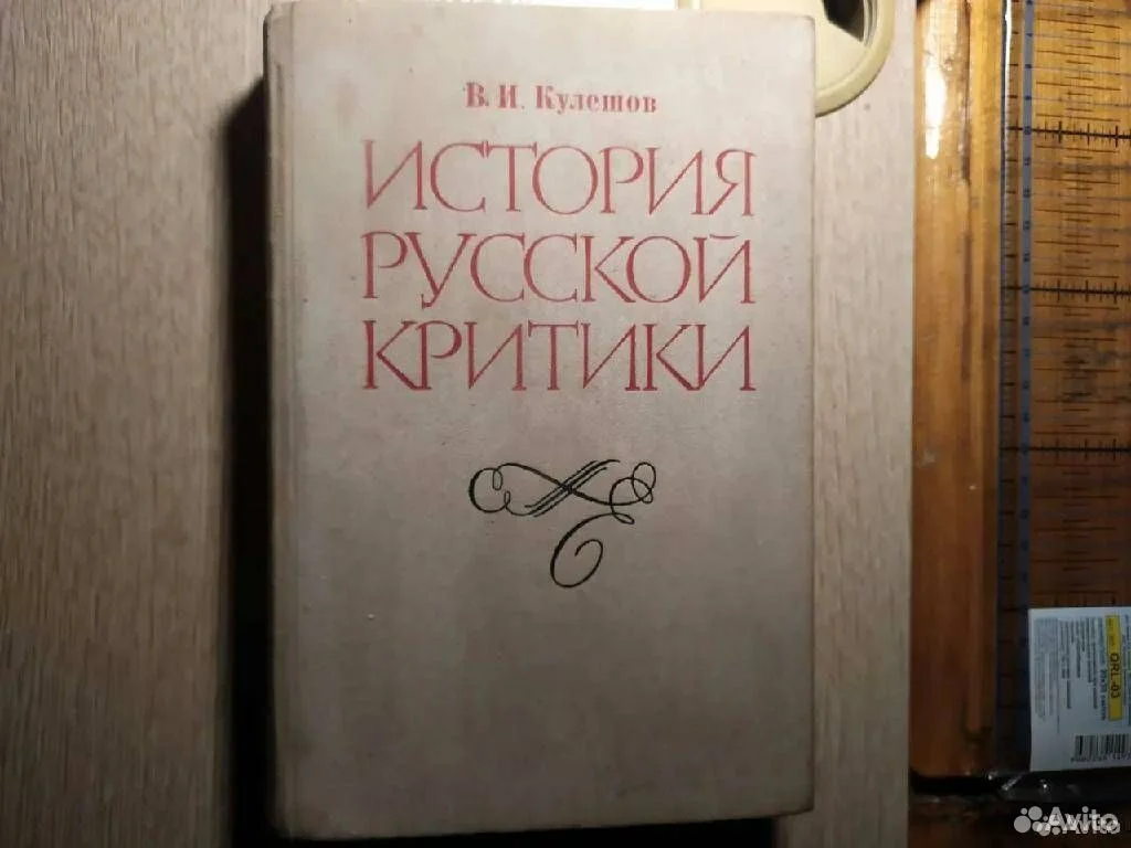 В.И. Кулешов История русской критики - изображение 1