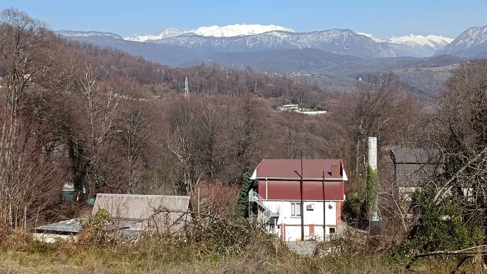 Сочи Хоста Каштаны