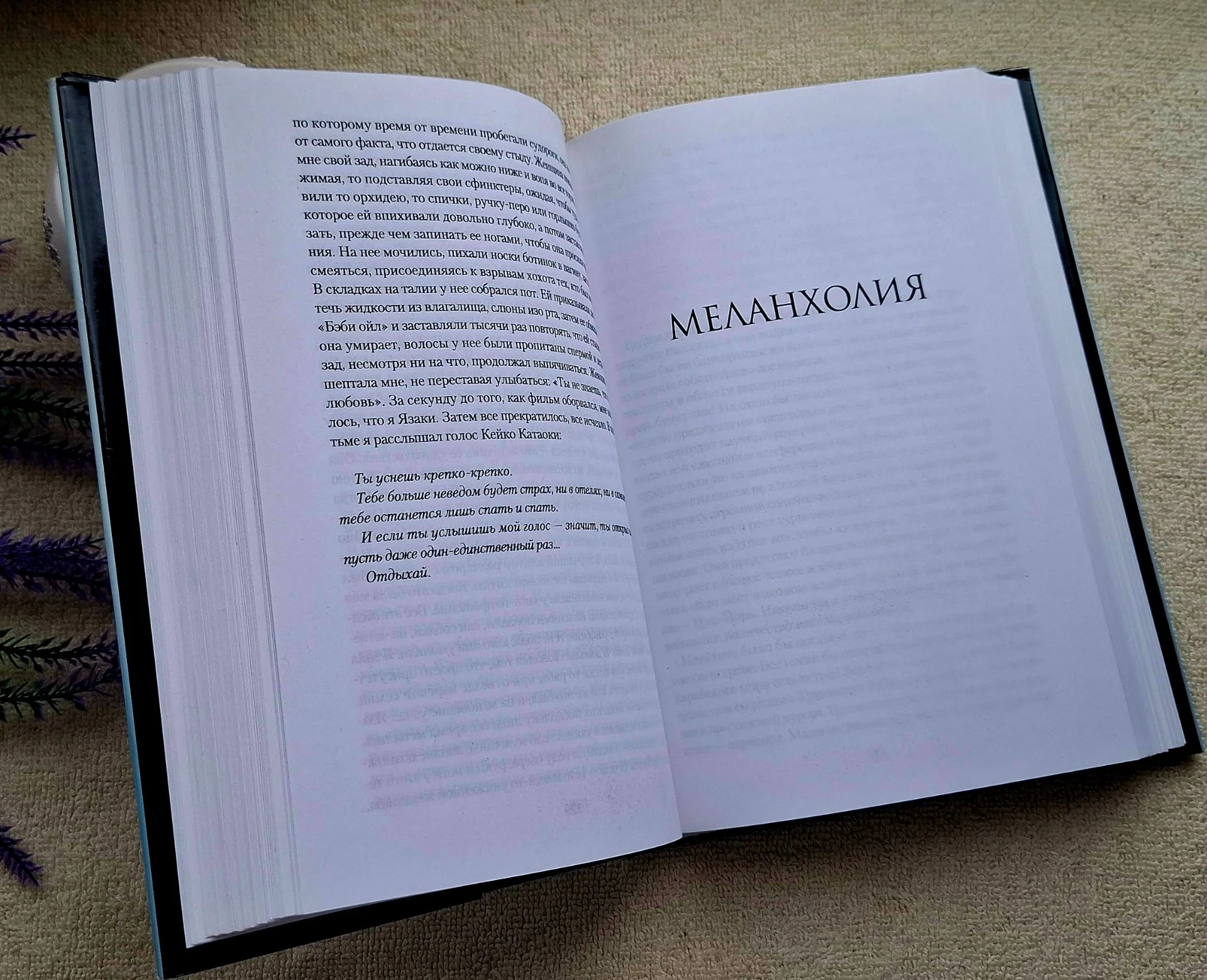 Рю Мураками - Монологи о Наслаждении, Апатии и Смерти - миниатюра 8