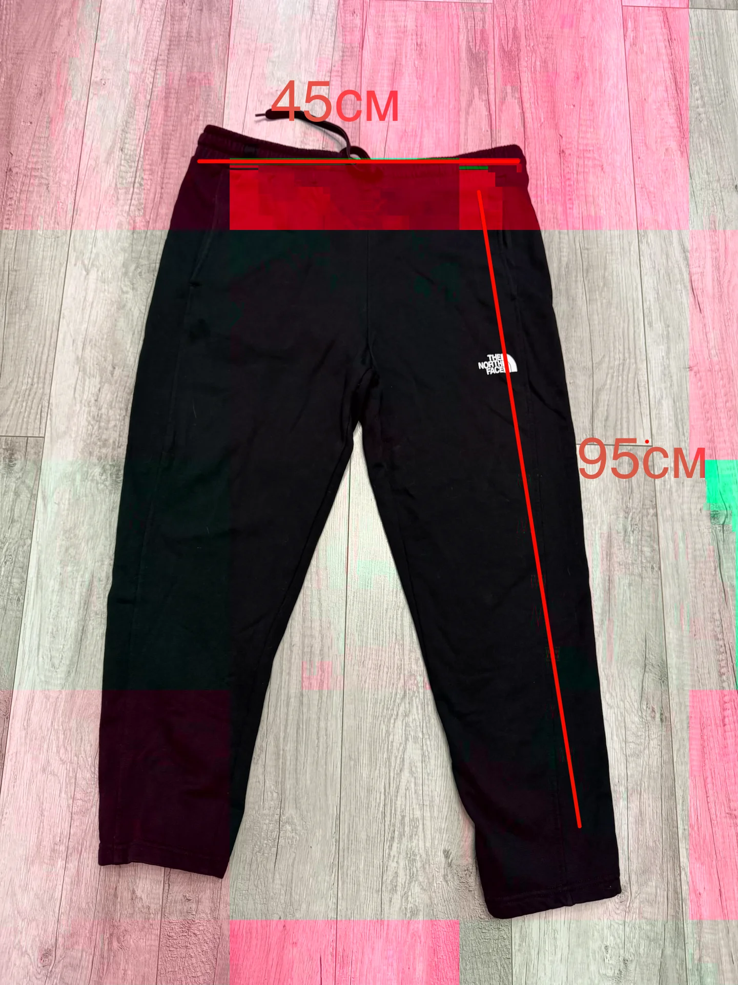 Брюки / штаны спортивные TNF Standard PT. - миниатюра 2
