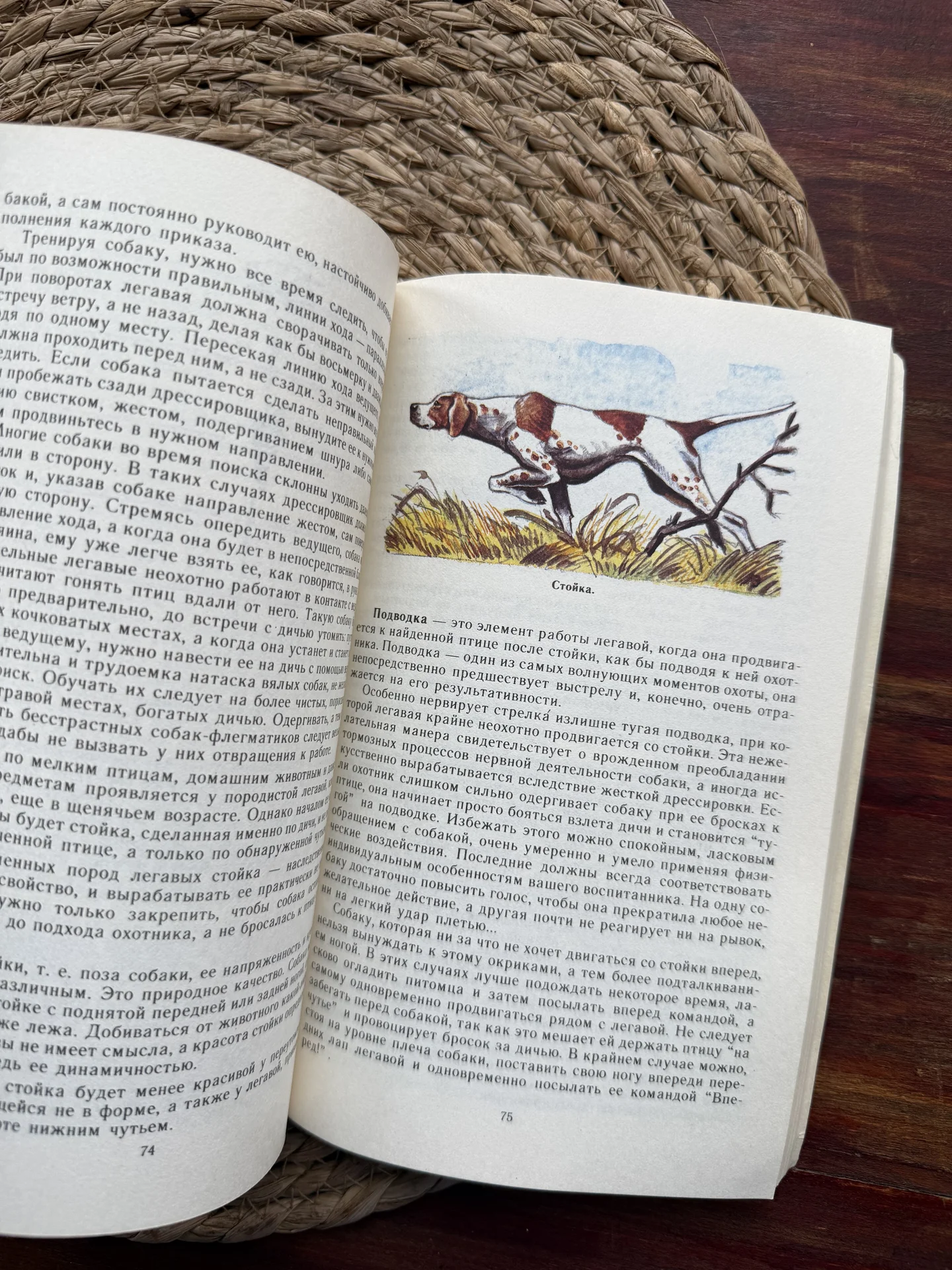 Гусев,Гусева.Легавые собаки и охотничьи терьеры - миниатюра 7