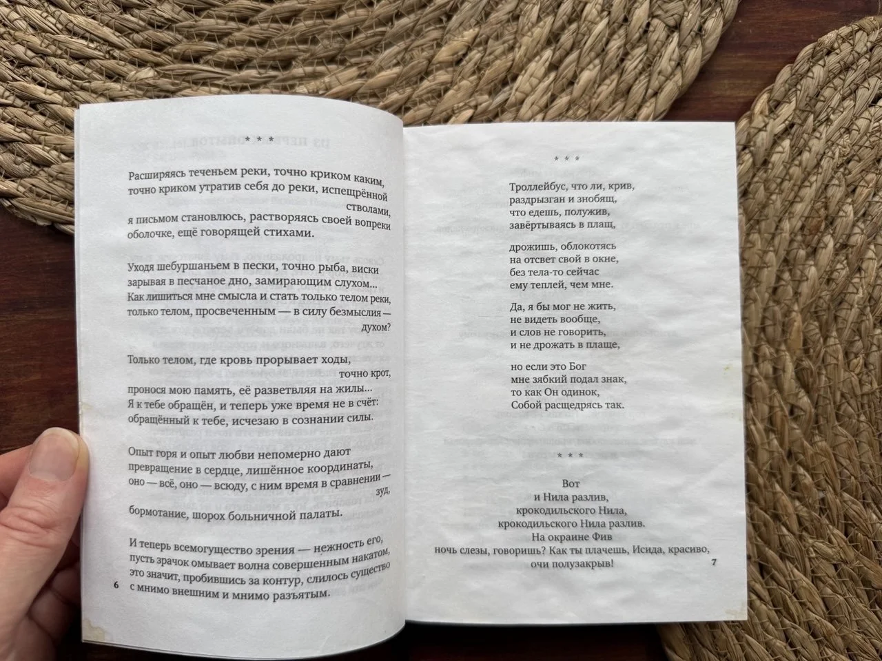 Владимир Гандельсман.Видение.Избранное.Стихи - миниатюра 6