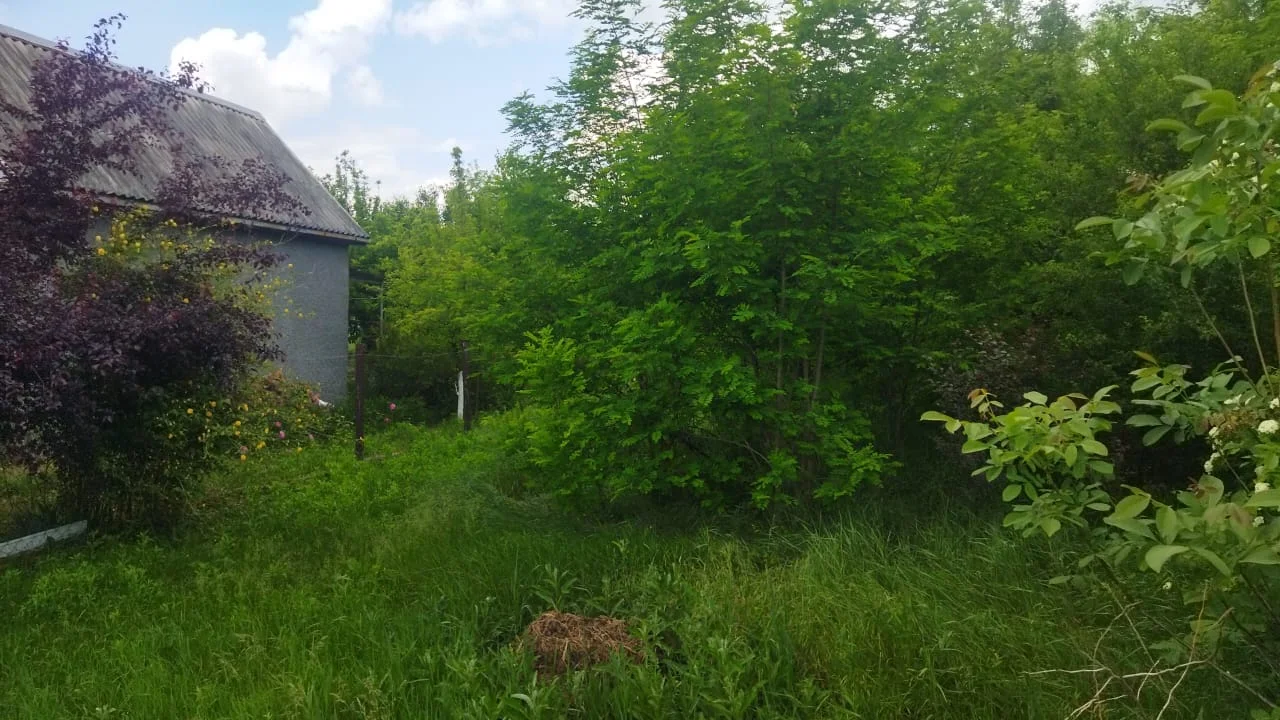 продам земельный участок - миниатюра 2