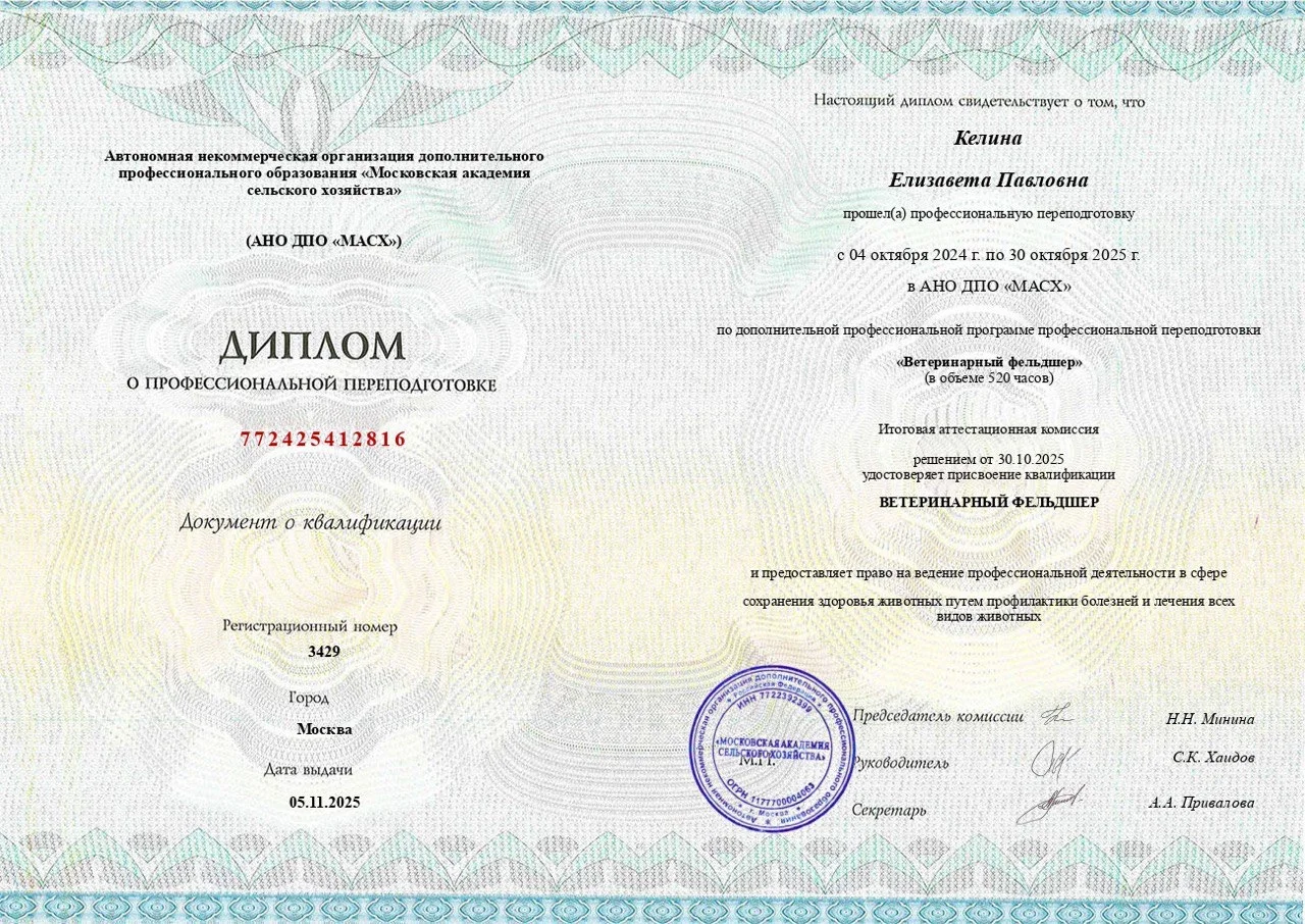 Кинолог зоопсихолог - миниатюра 8