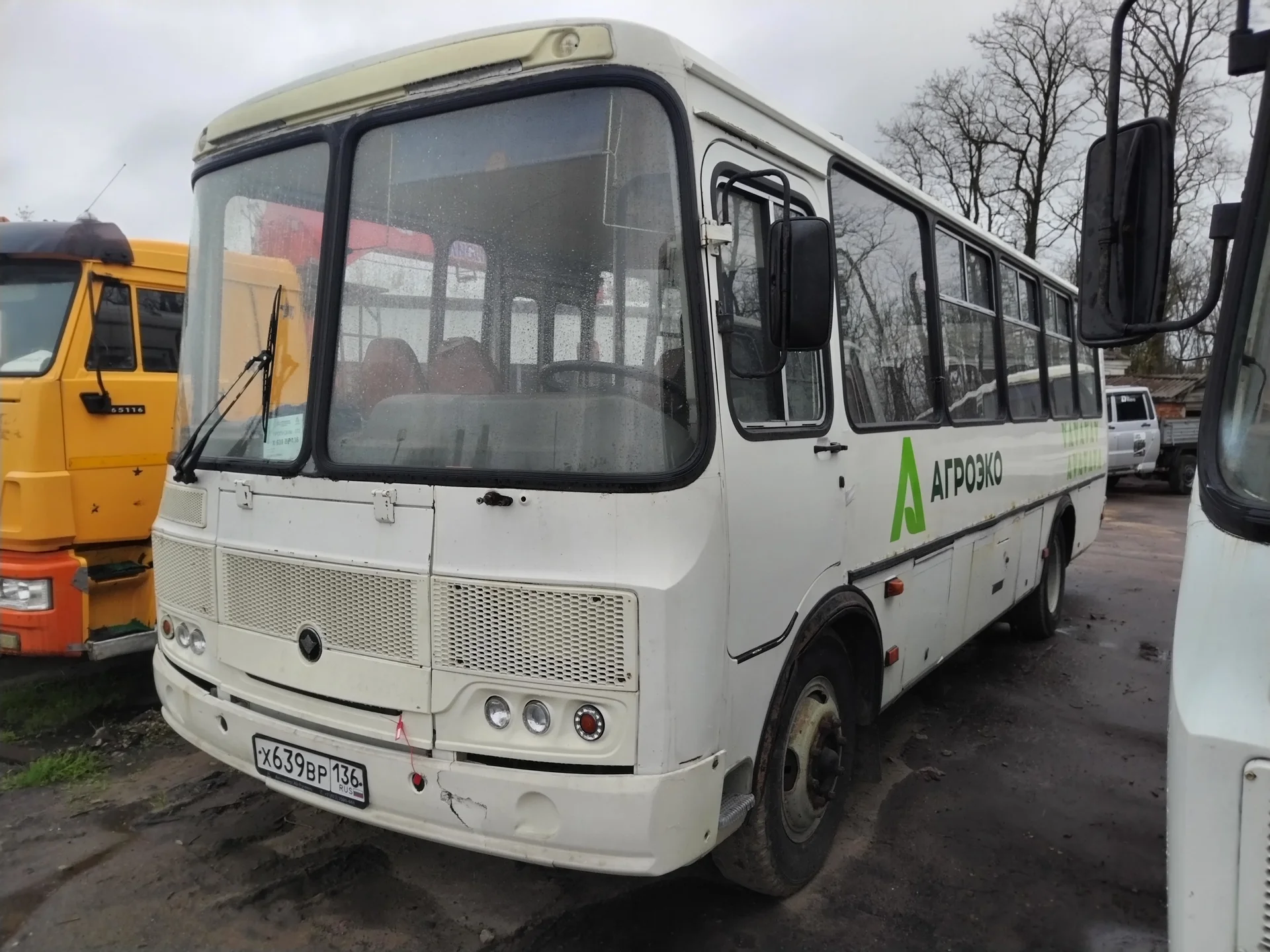 Автобус ПАЗ 4234 , 2020 - изображение 1