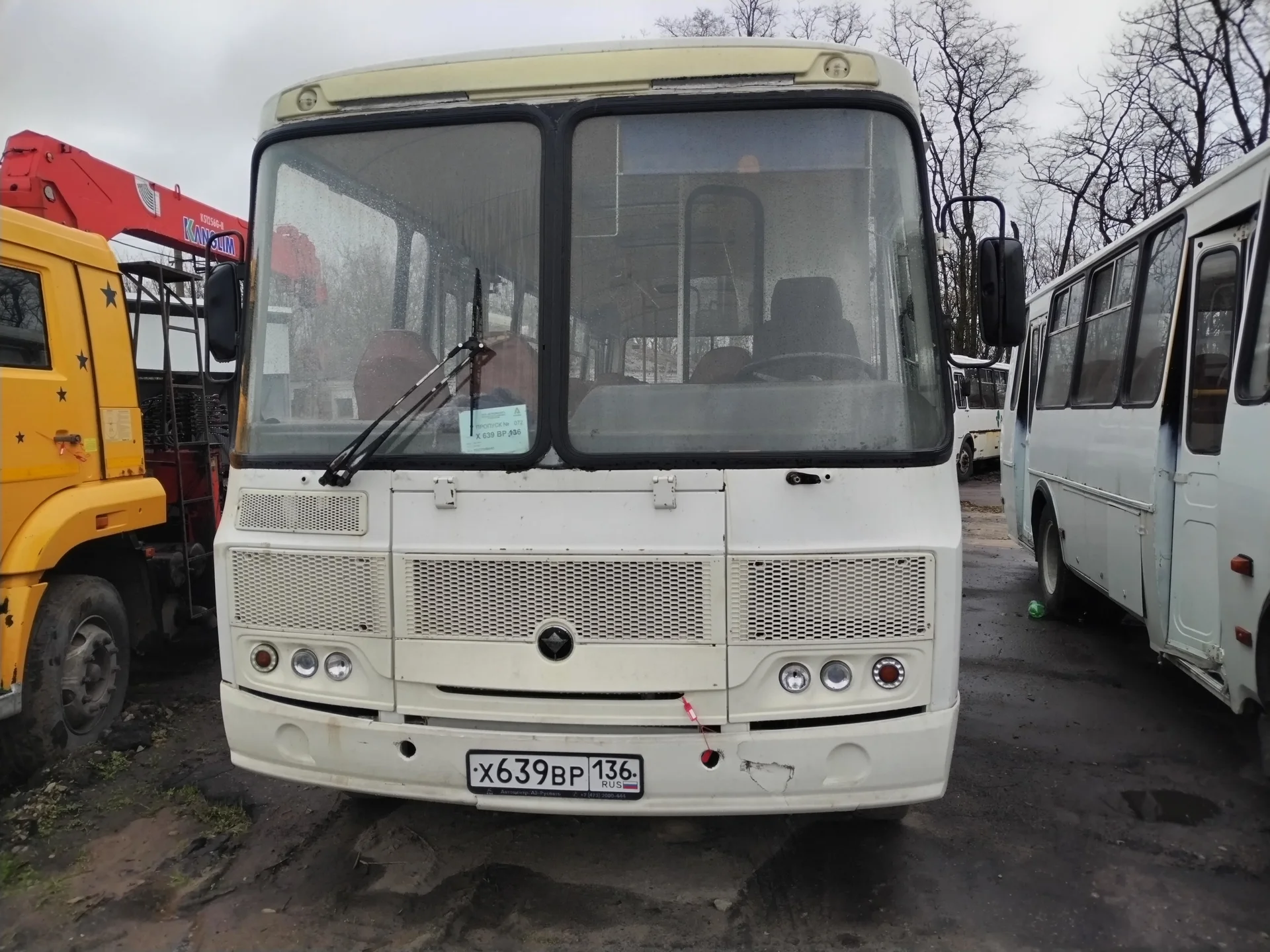 Автобус ПАЗ 4234 , 2020 - миниатюра 2