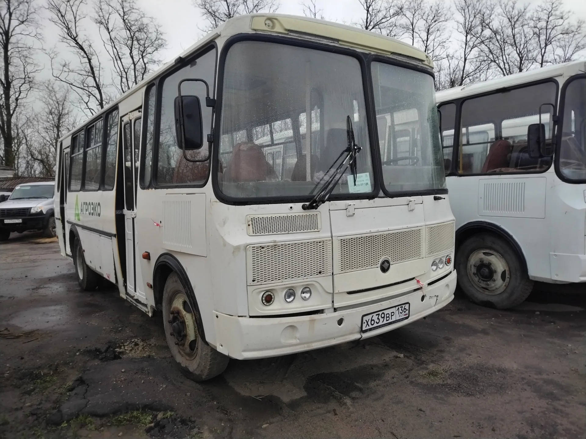 Автобус ПАЗ 4234 , 2020 - миниатюра 3