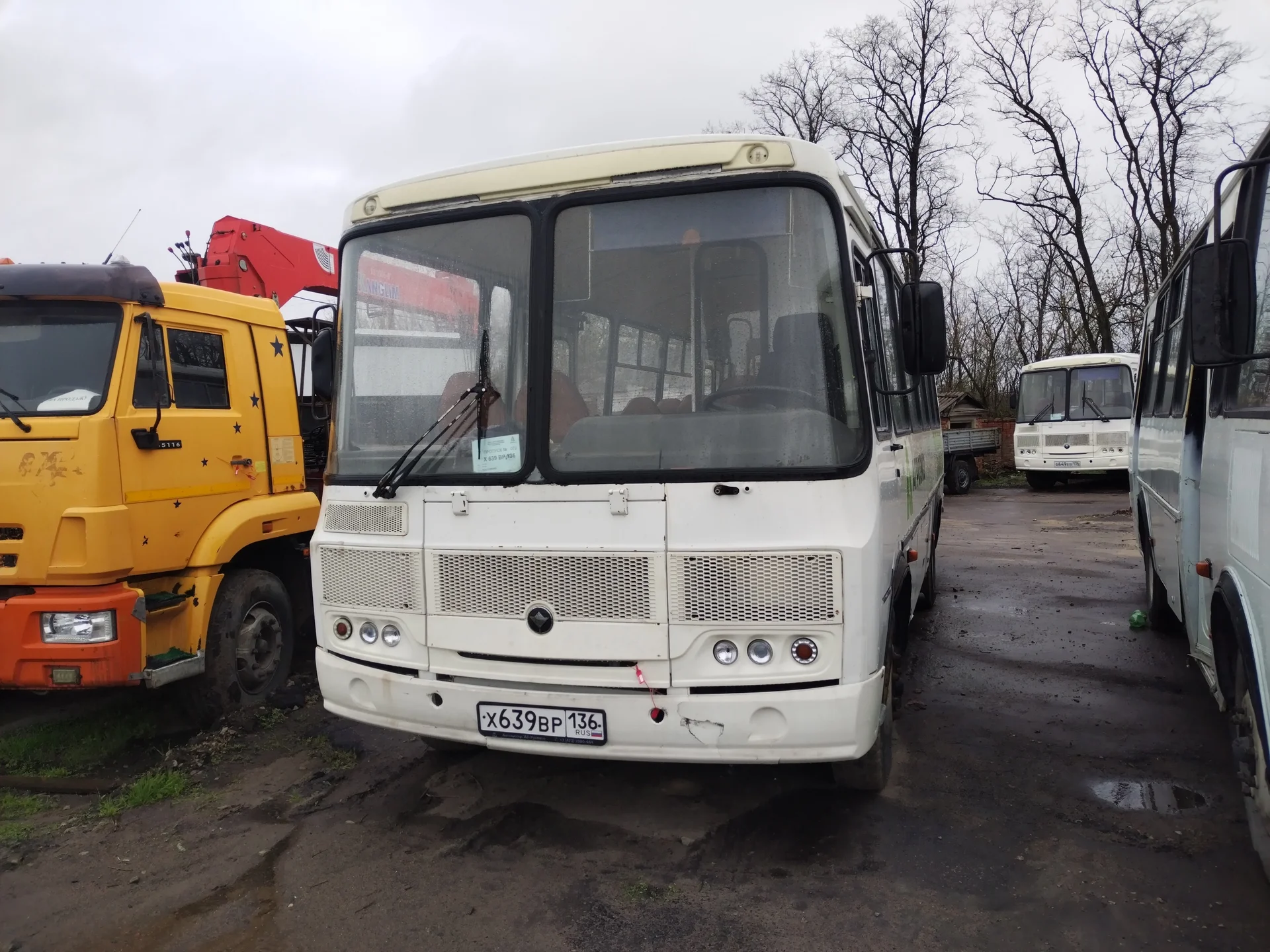 Автобус ПАЗ 4234 , 2020 - миниатюра 4