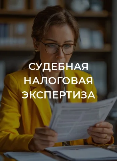 Судебная налоговая экспертиза - изображение 1