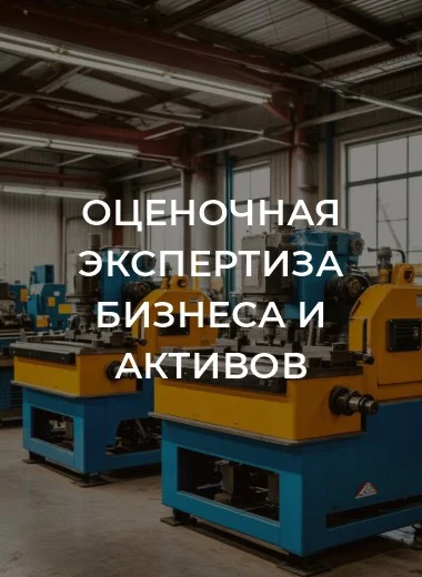 Оценочная экспертиза бизнеса и активов - изображение 1