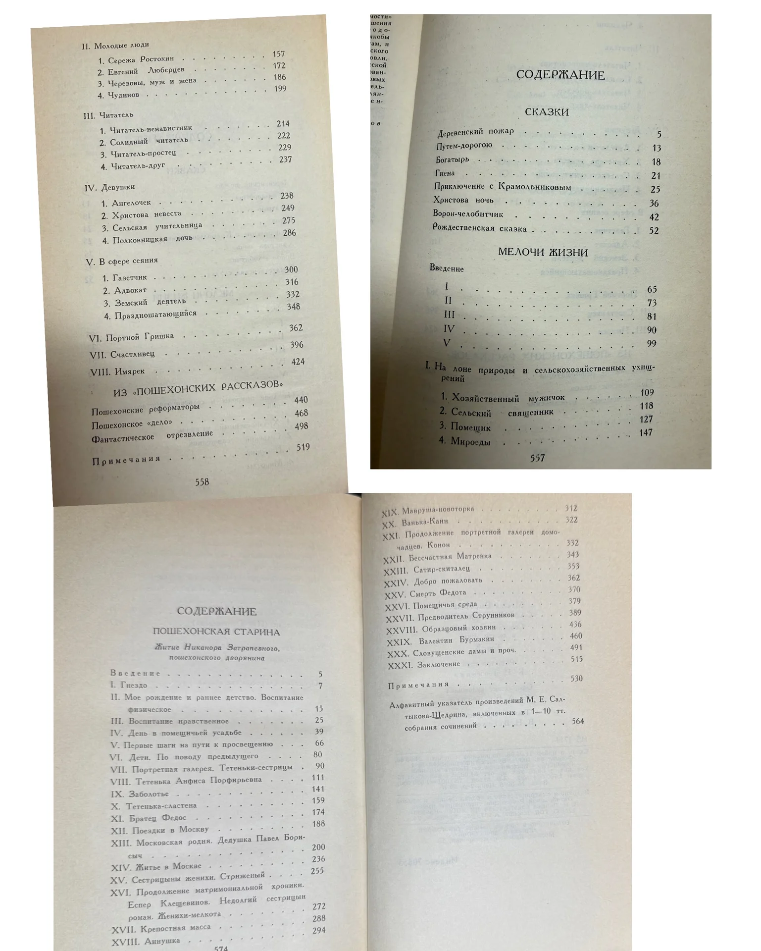 Собрание сочинений Салтыкова-Щедрина в 10 томах - миниатюра 5