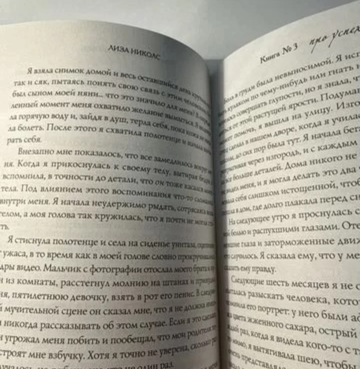 Книга Лиза Николс Успех - миниатюра 3