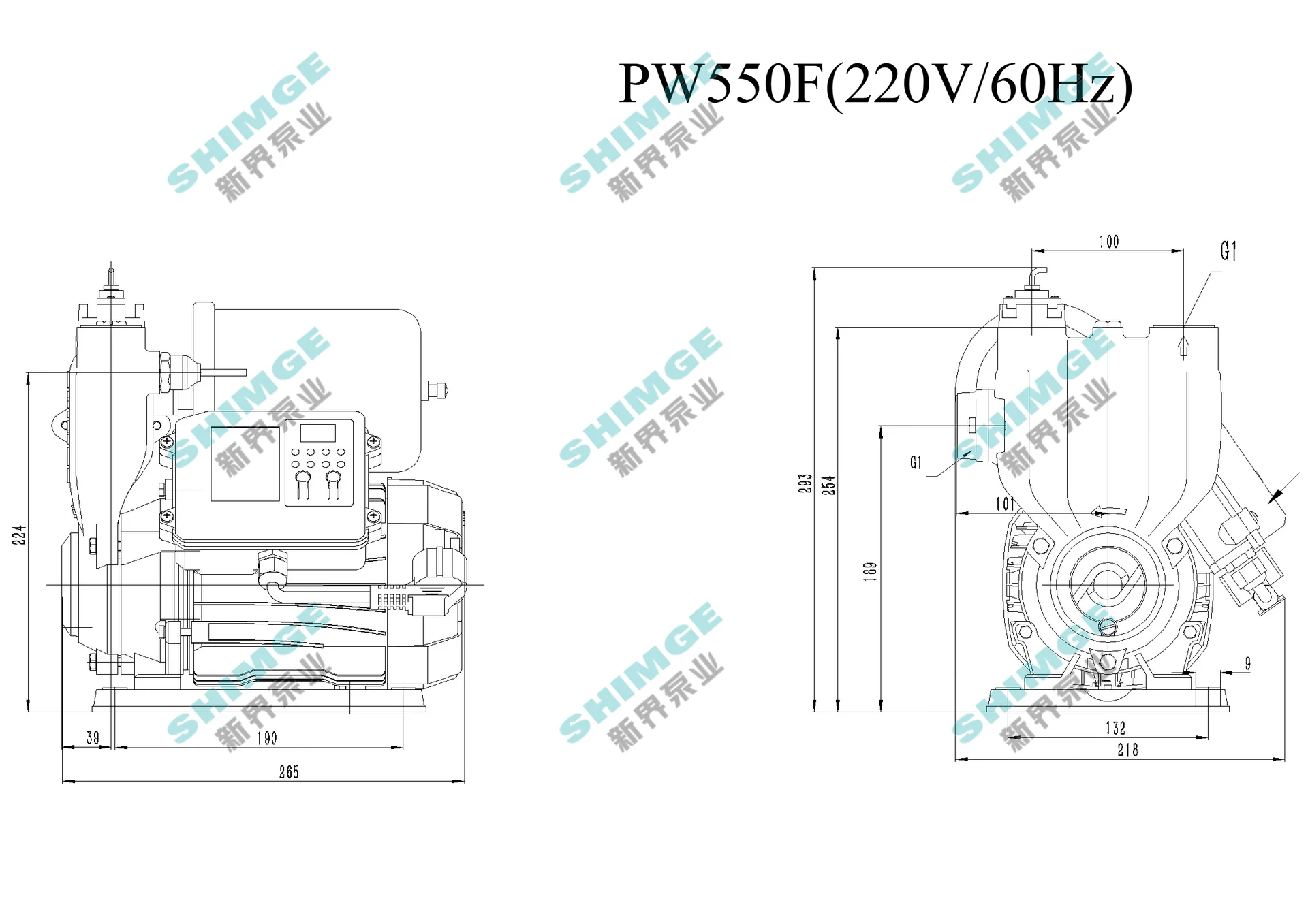SHIMGE PW 550F – Автоматическая насосная станция для водоснабжения - миниатюра 3