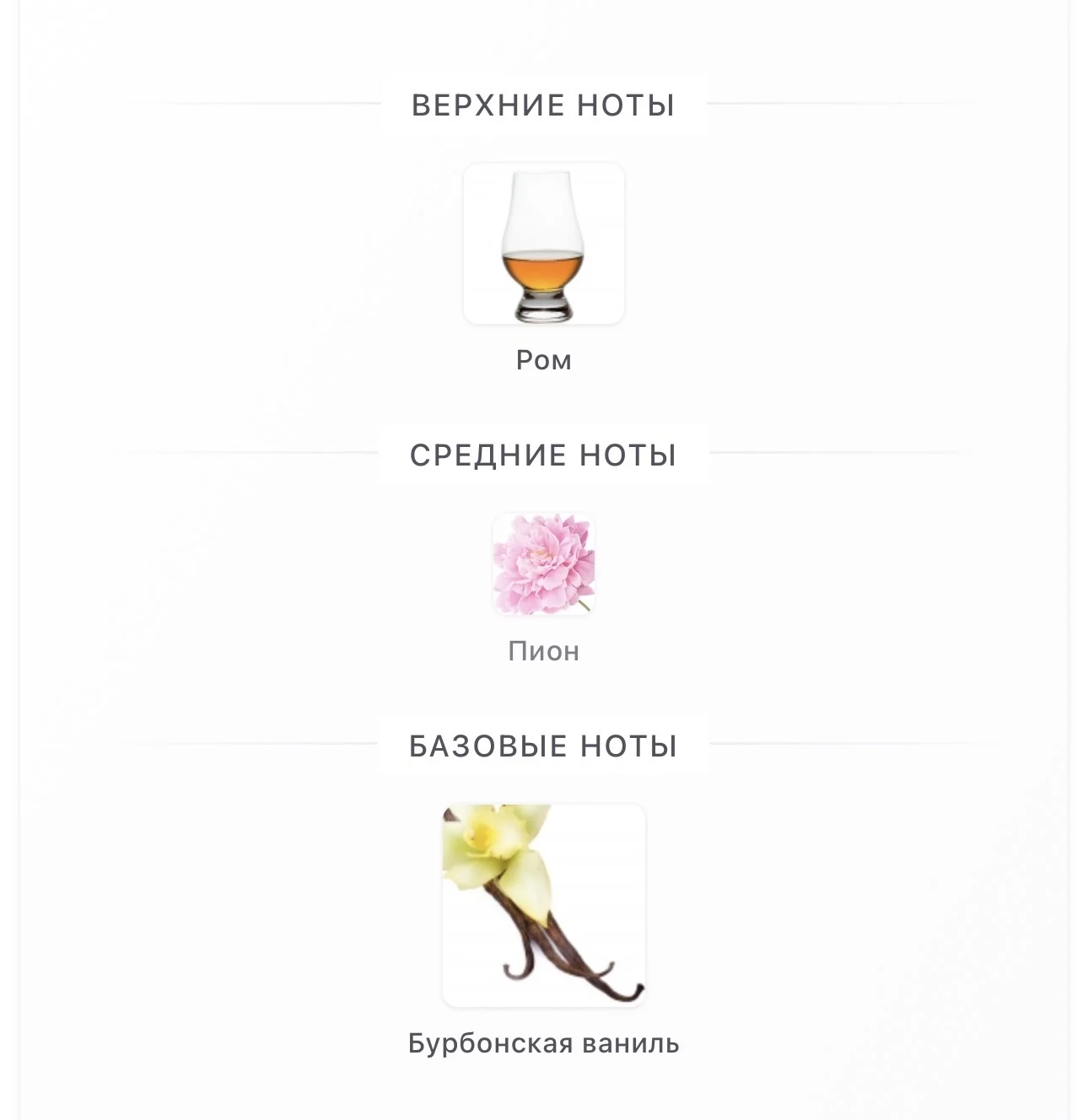 Rich Warm Addictive 2021 Zara - миниатюра 3
