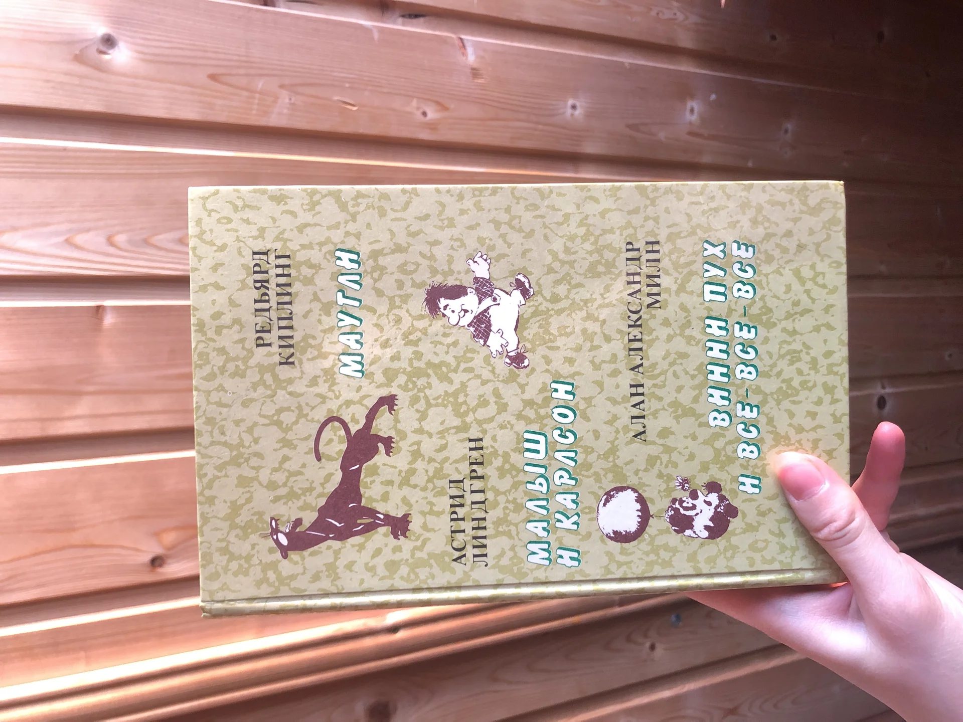 книги - миниатюра 3