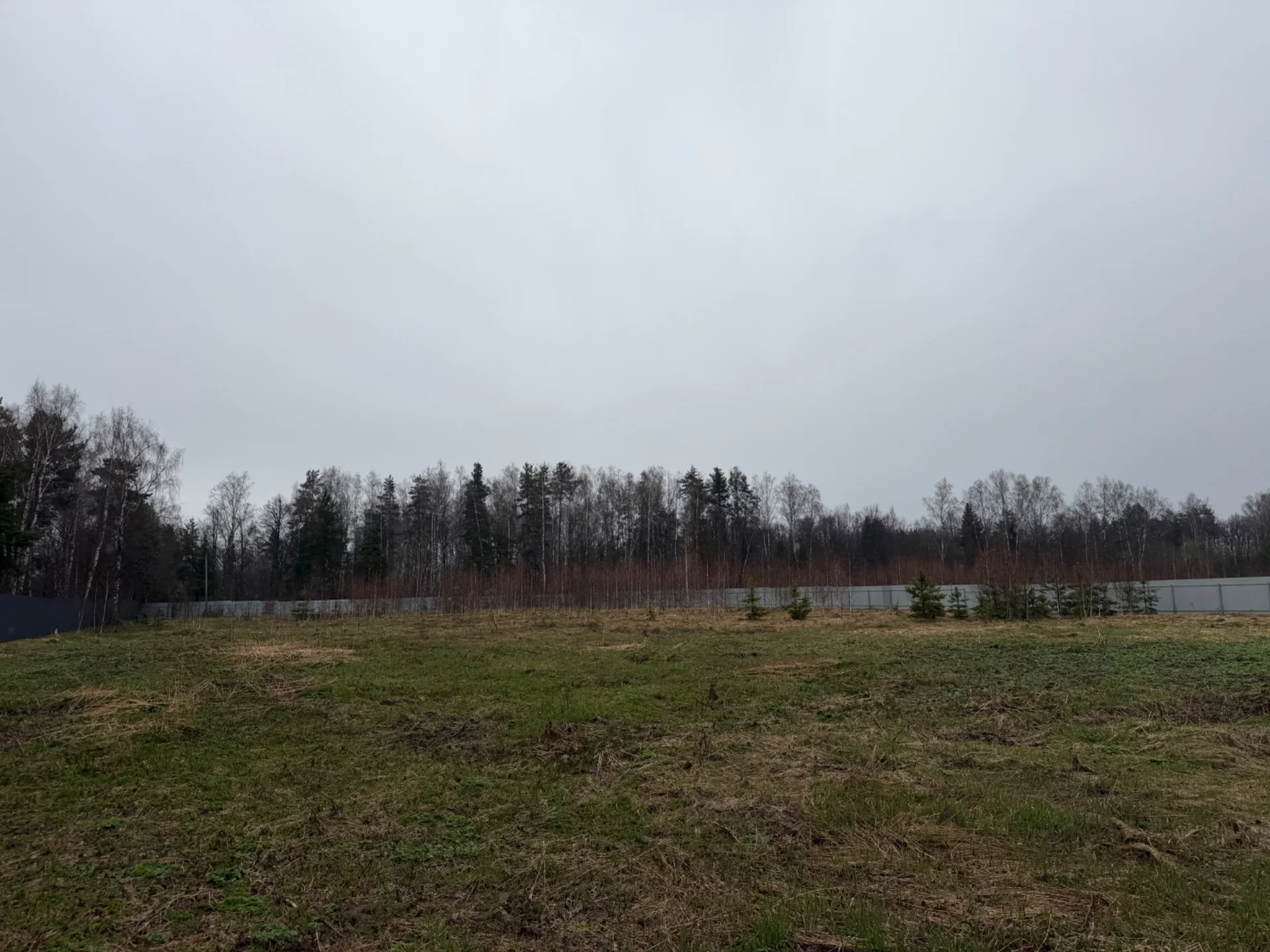 Продается участок 80 соток (ЛПХ), 37 км от МКАД - миниатюра 6