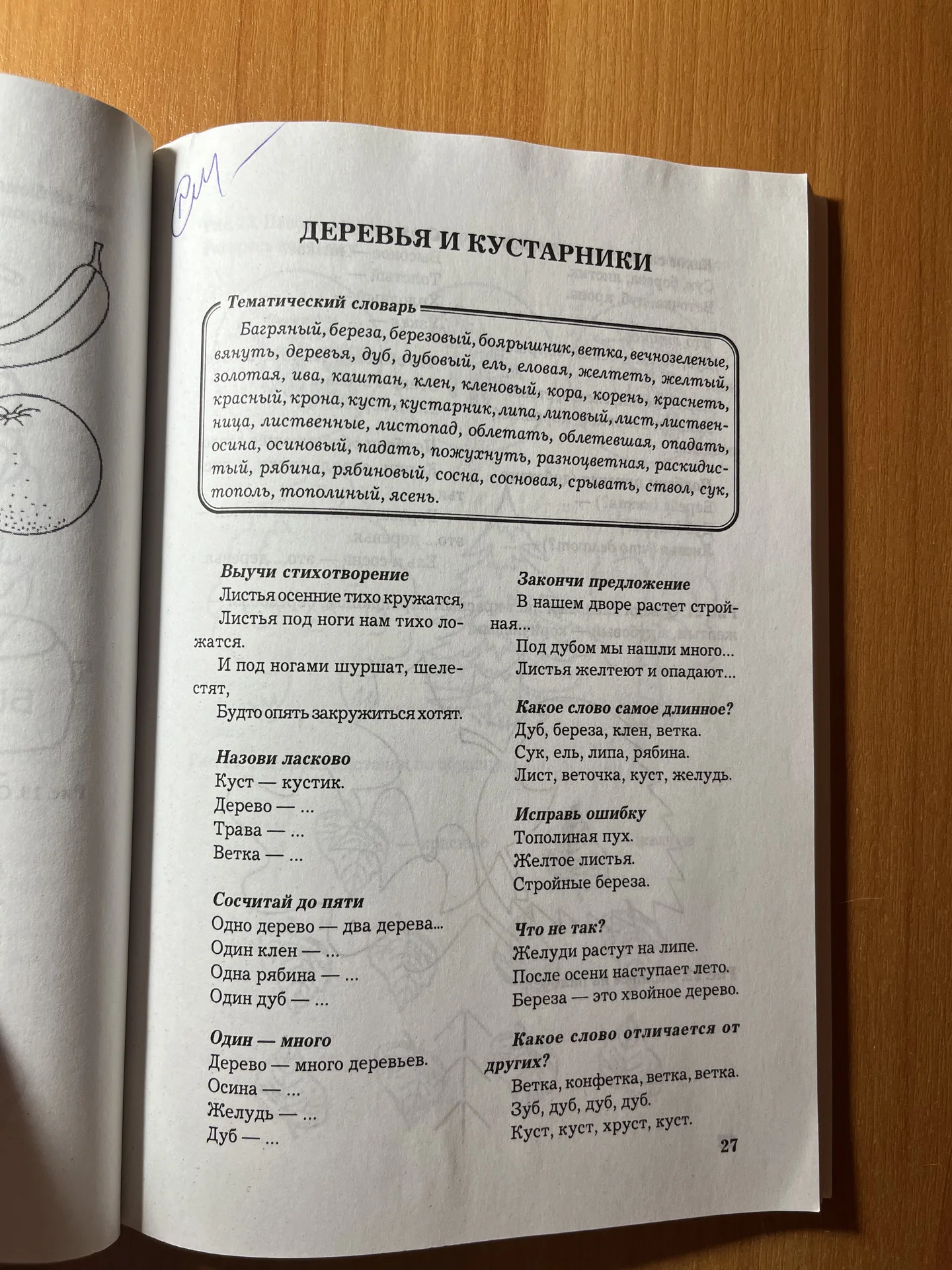 Развитие речи Карпова - миниатюра 2