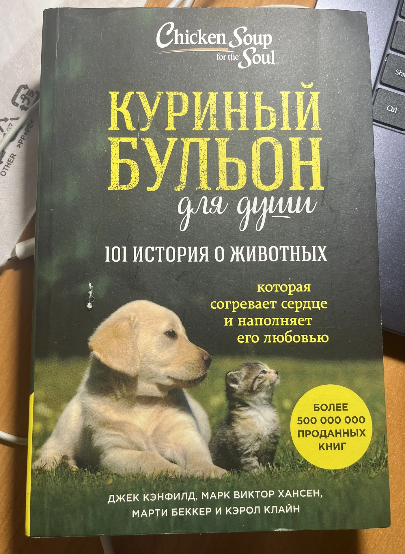 Книга «Куриный бульон для души» - изображение 1