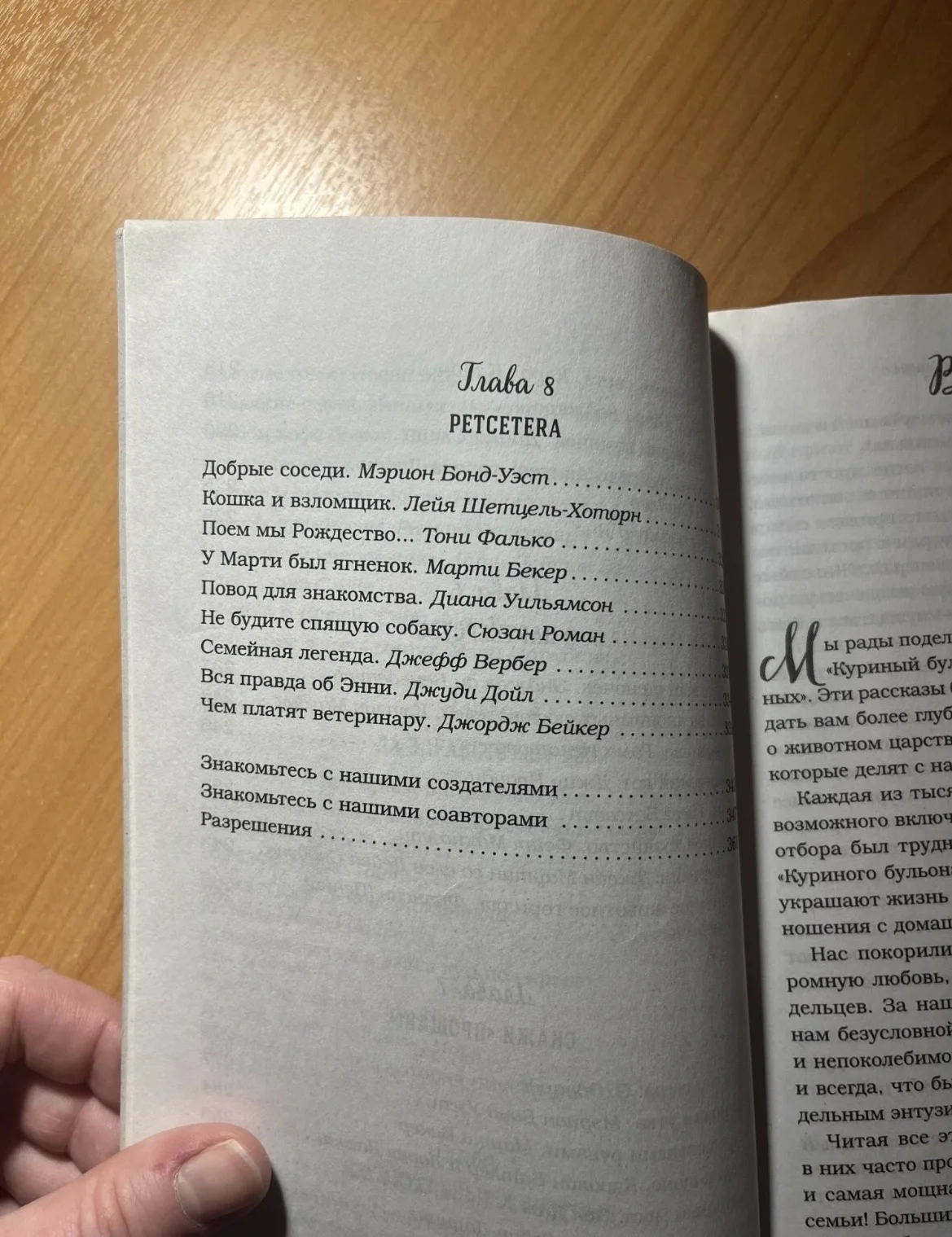 Книга «Куриный бульон для души» - миниатюра 2