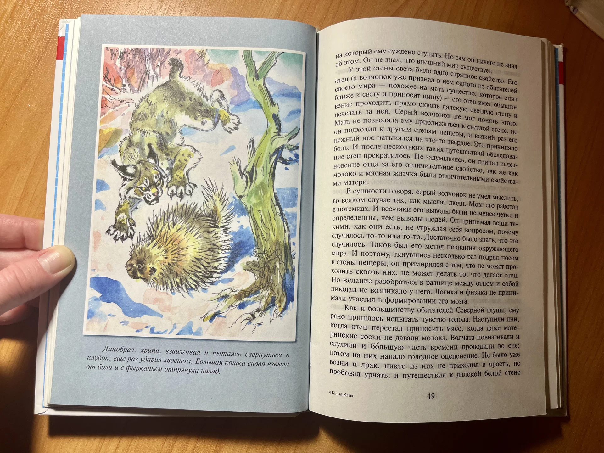 Книга «Белый клык» Джек Лондон - миниатюра 2
