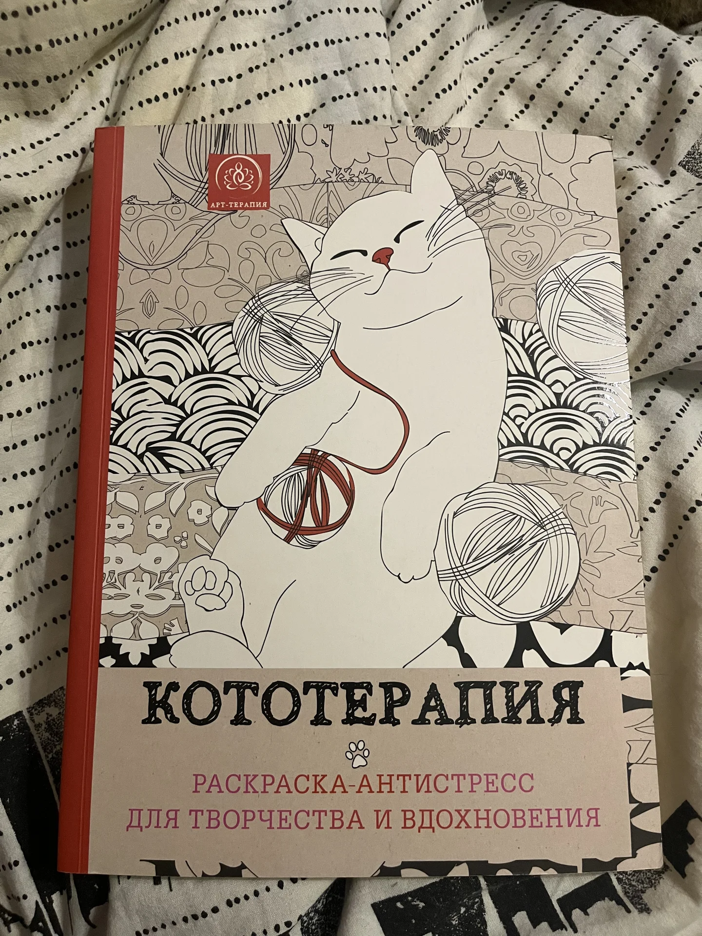 Раскраска для взрослых кототерапия - изображение 1