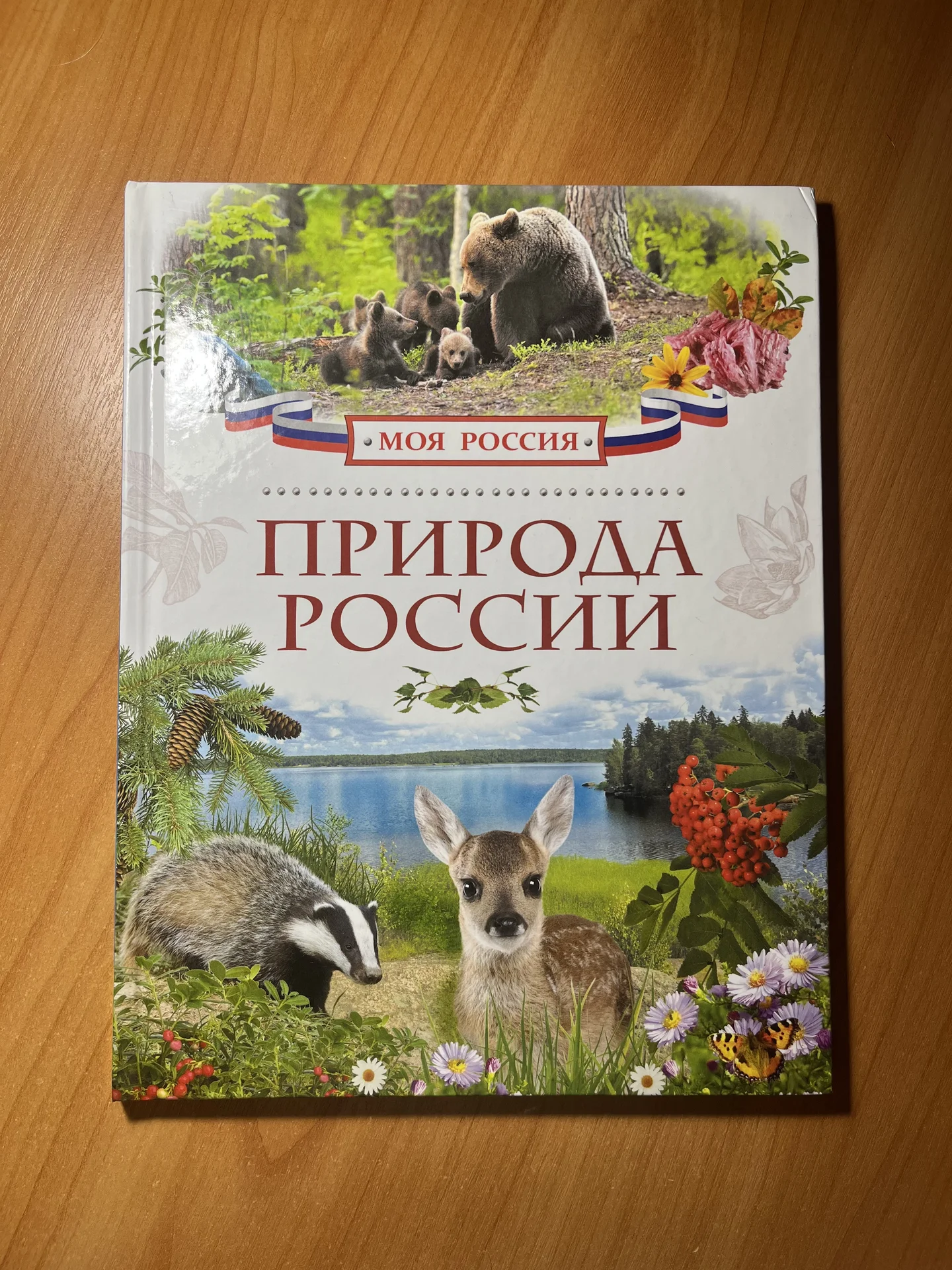 Детская энциклопедия "Природа России" - изображение 1