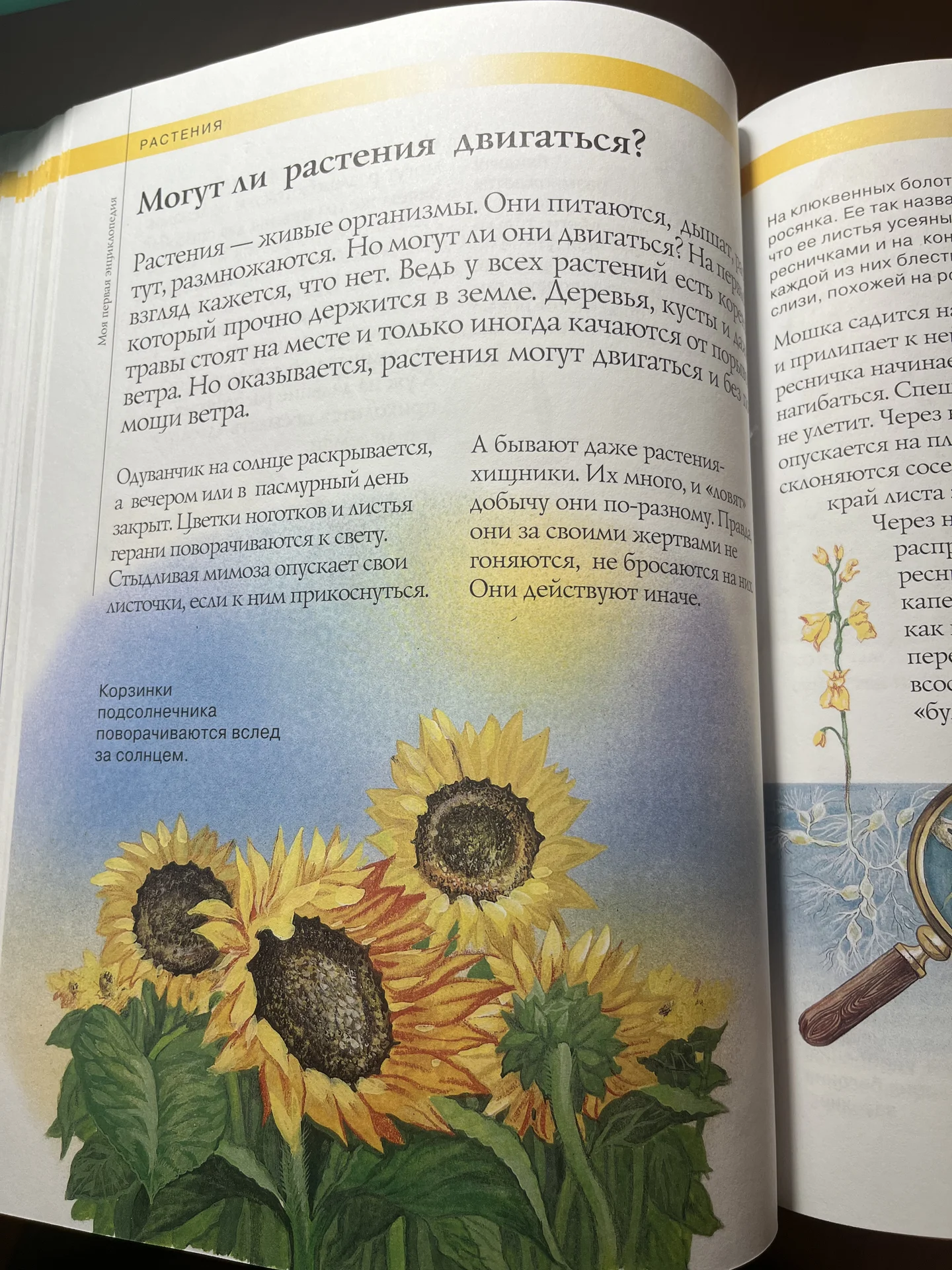 Моя первая энциклопедия - миниатюра 3