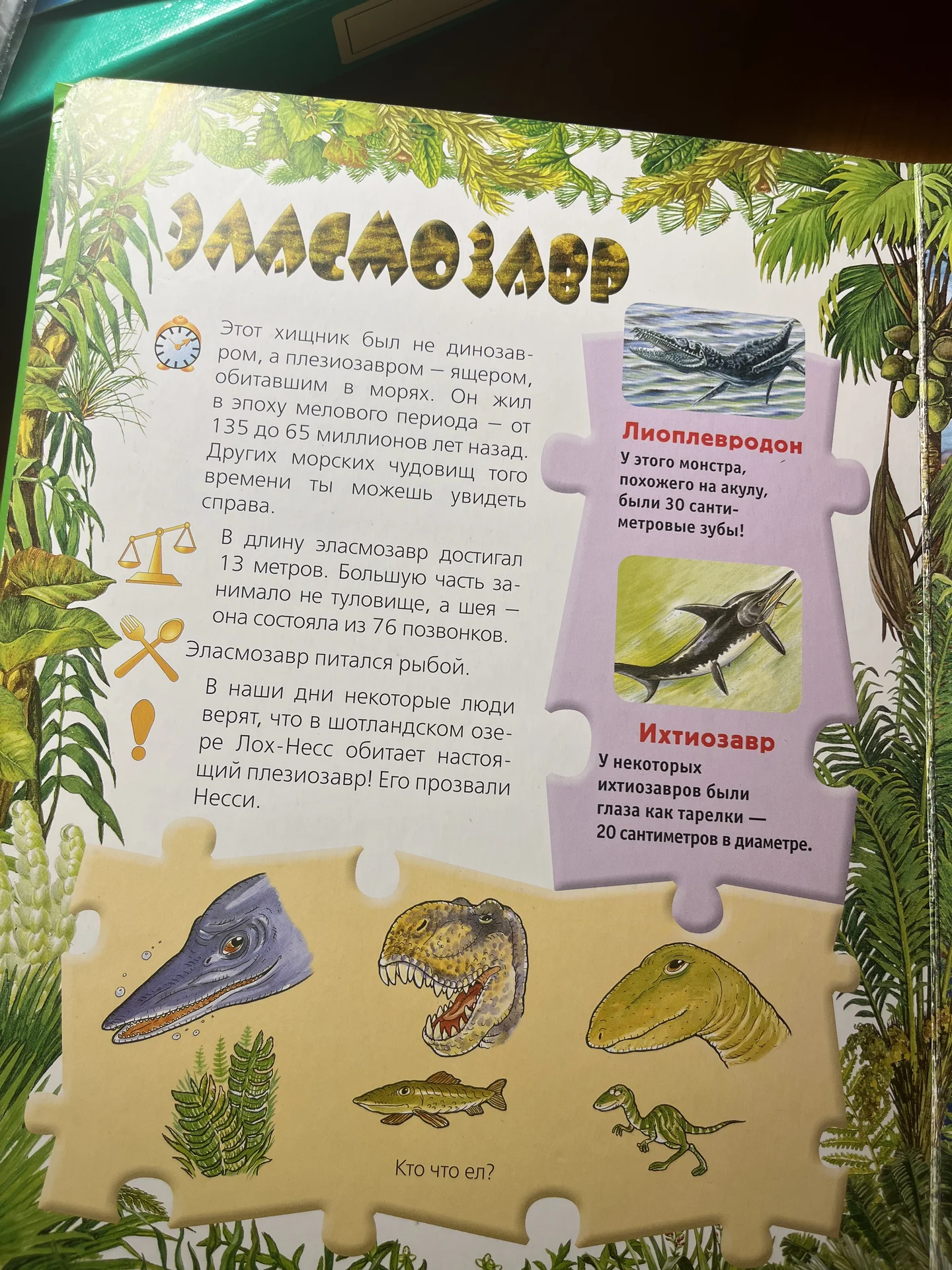 Книга динозавры с пазлами - миниатюра 3