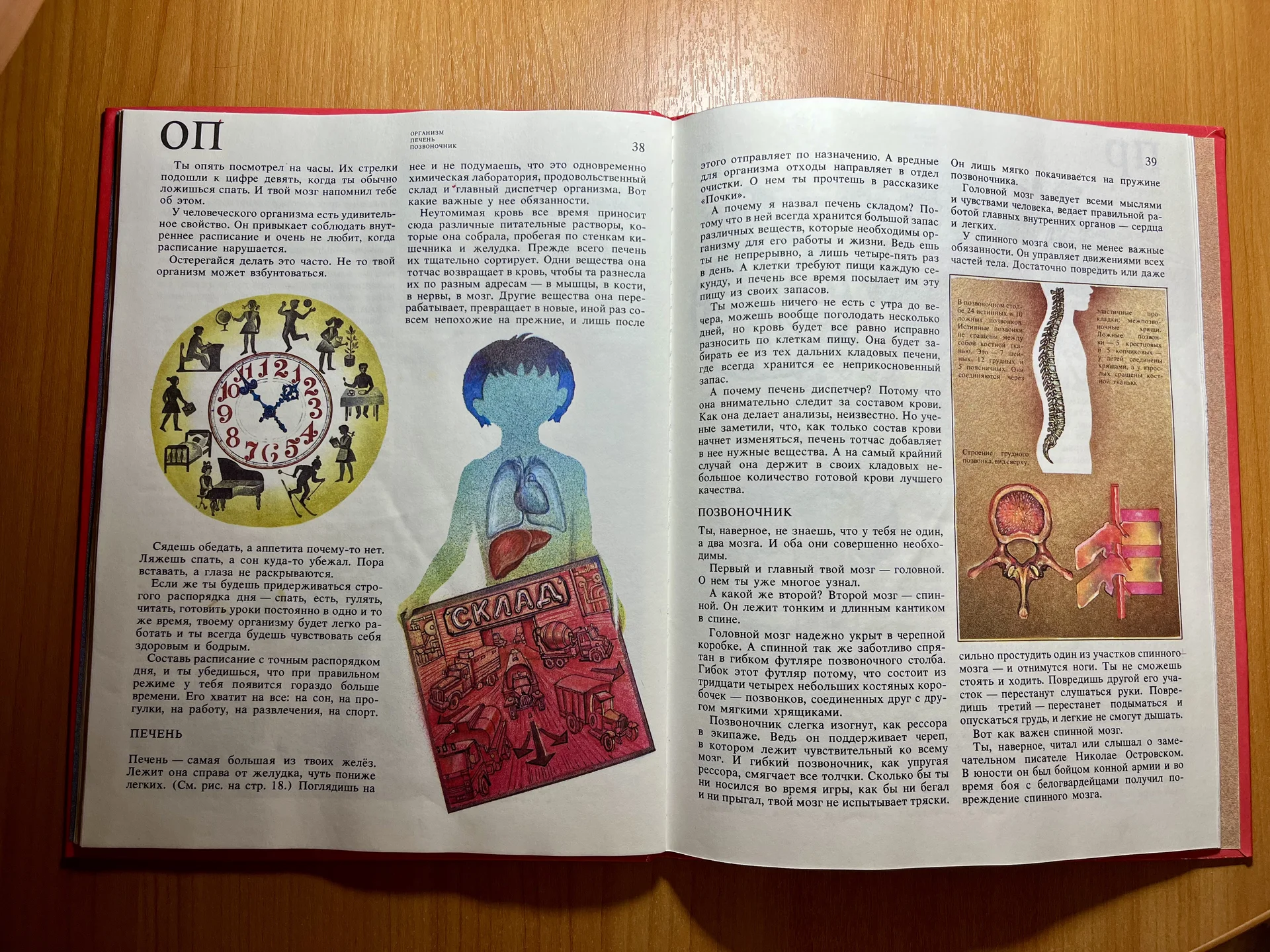 энциклопедия «Про тебя самого» Дорохов - миниатюра 2