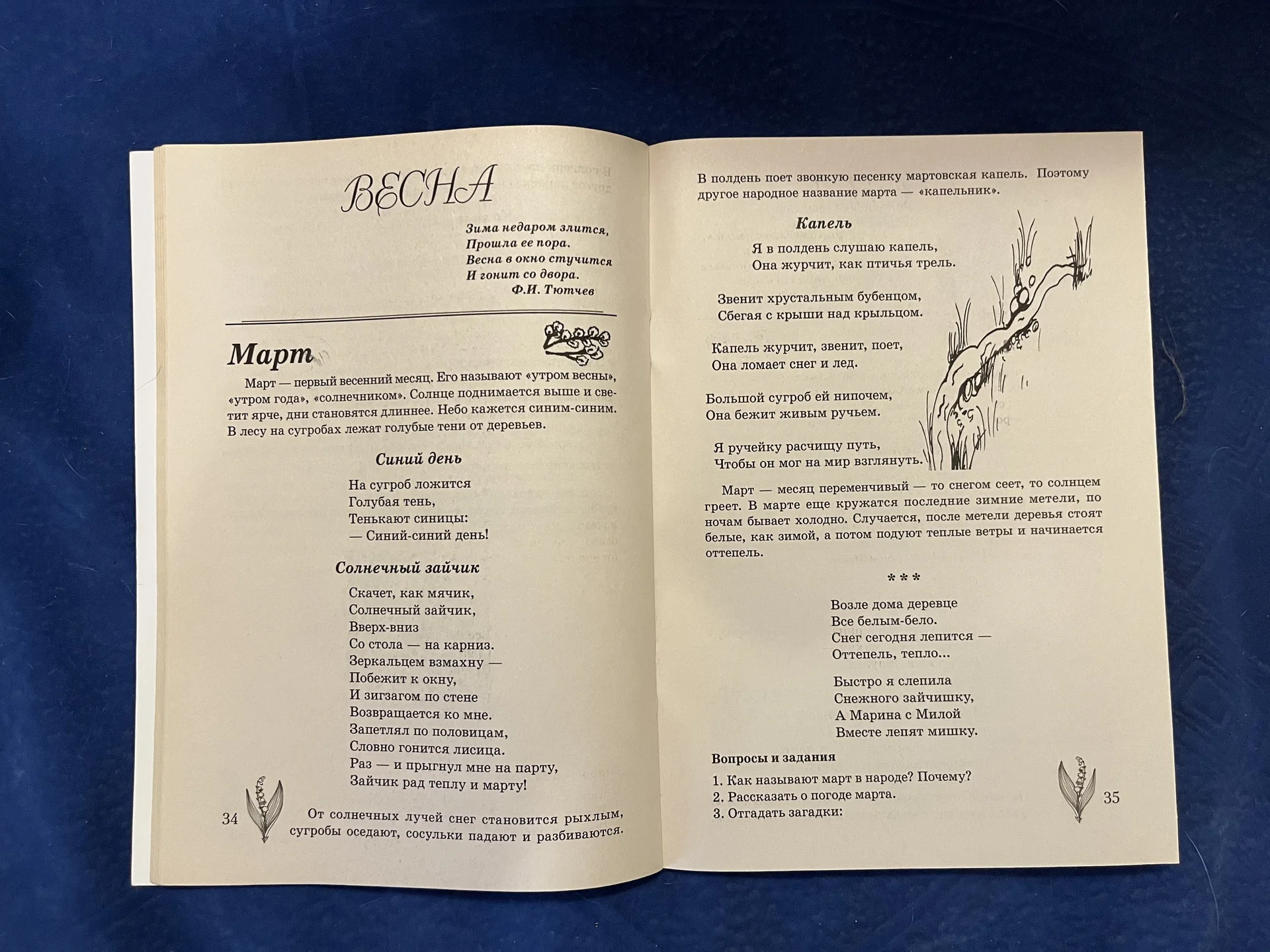 Книга «Какие месяцы в году» Шорыгина Т.А - миниатюра 2