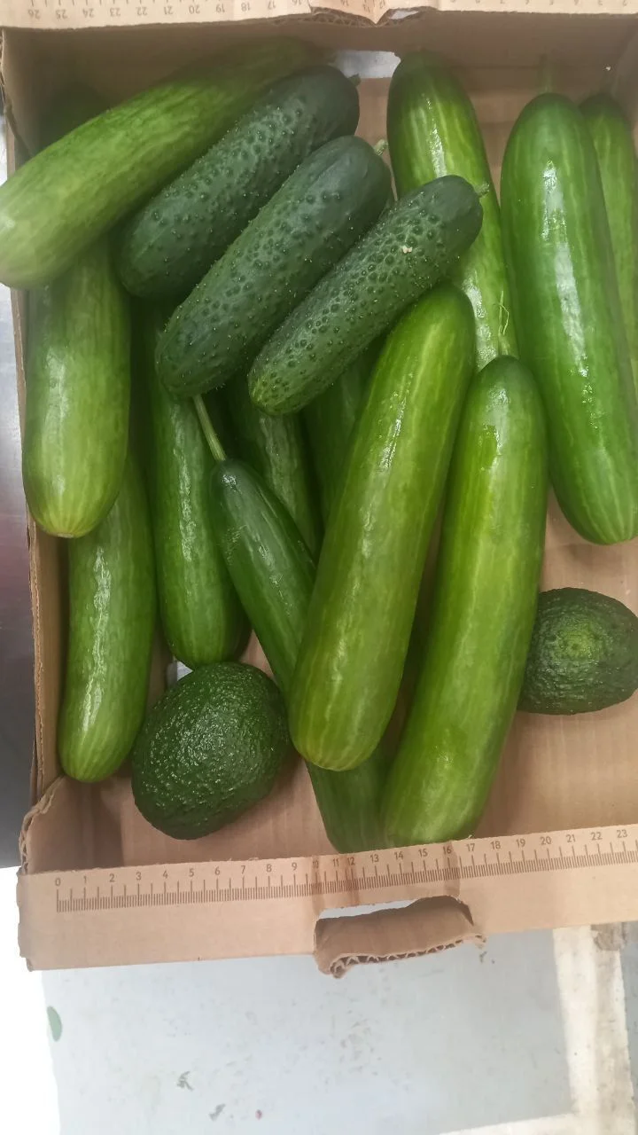 Продукты на корм животным - изображение 1