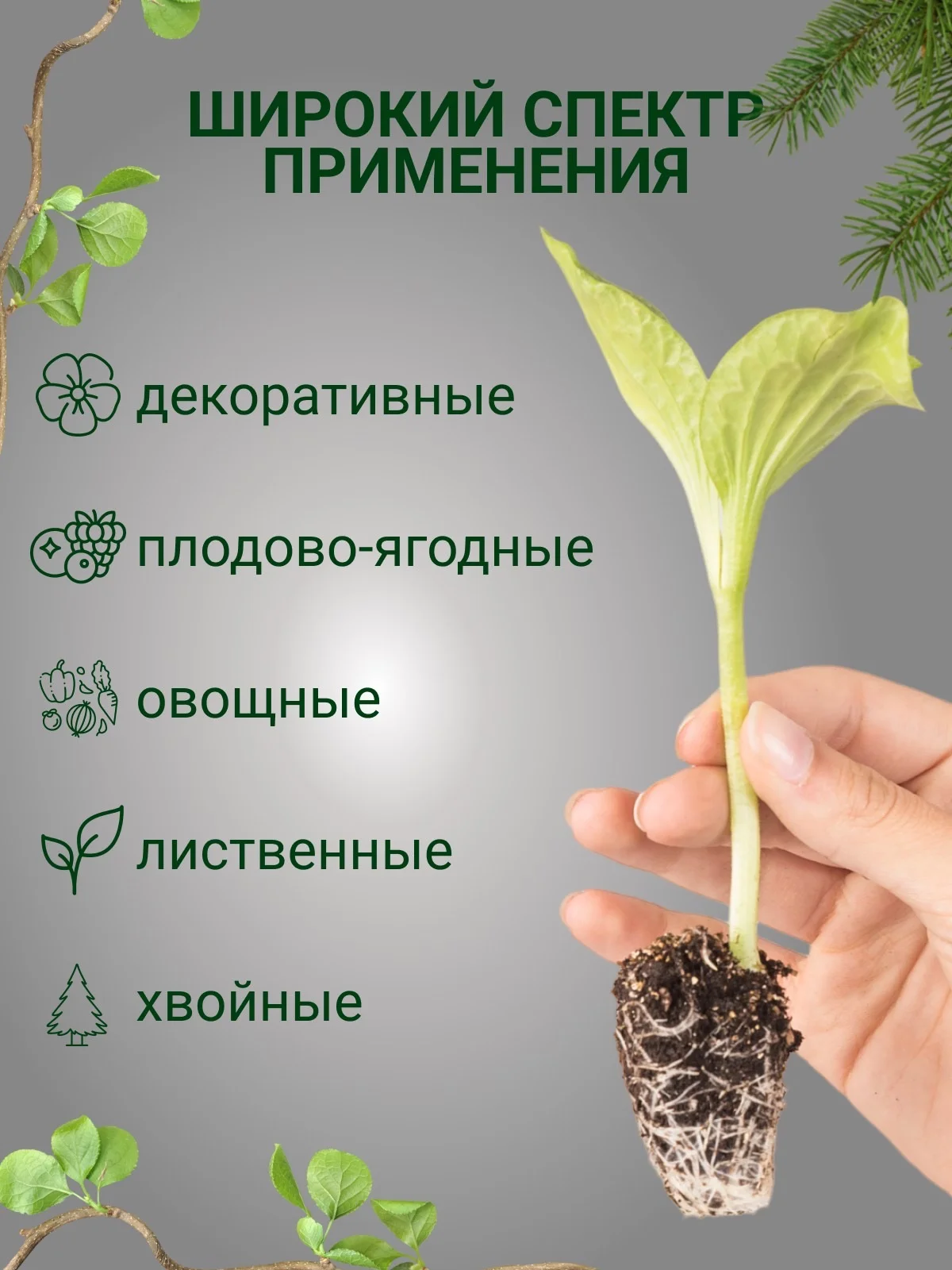 КорнеWin Ультра / ЯМогуч - миниатюра 4